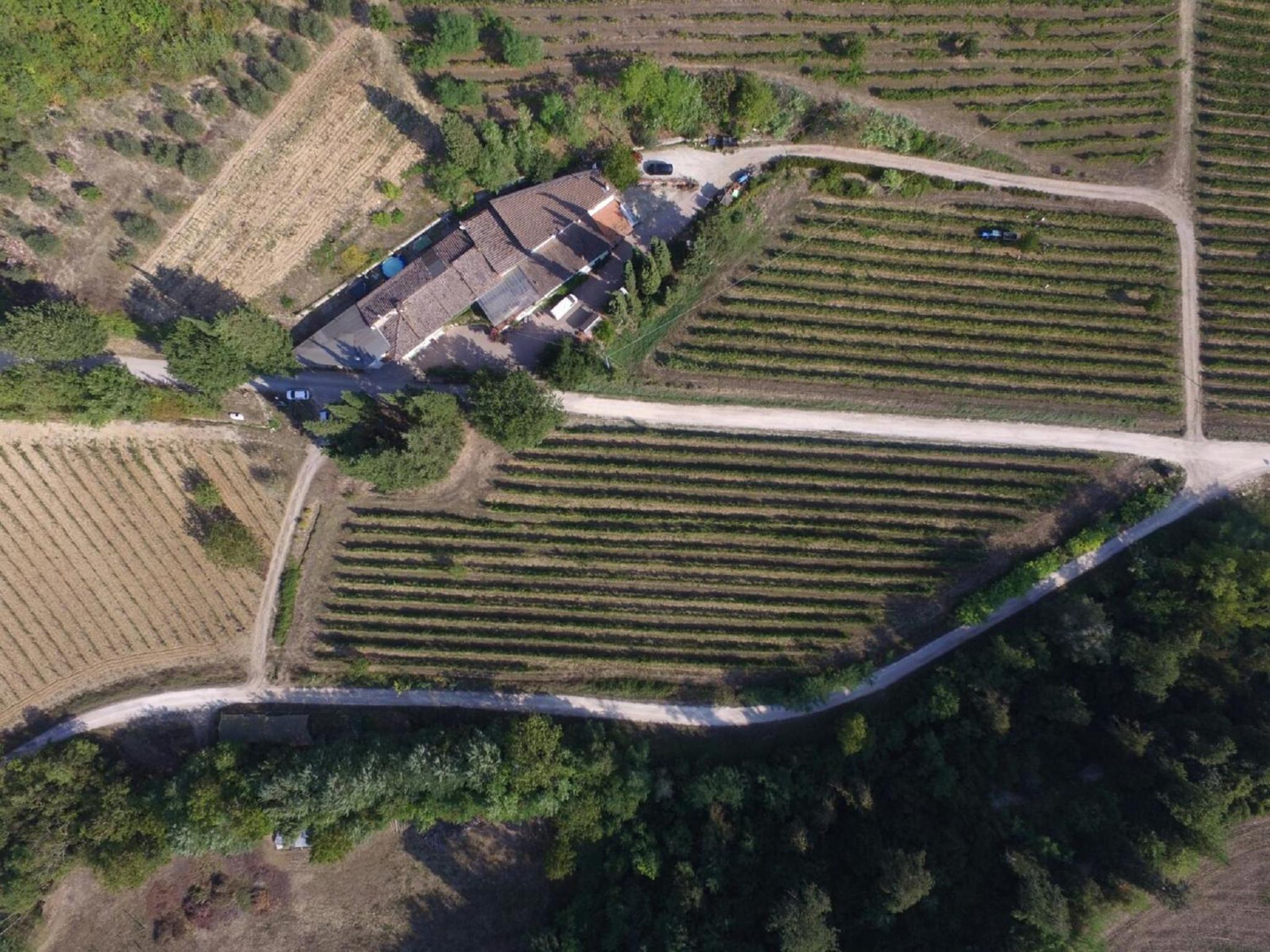 Agriturismo Lucciano