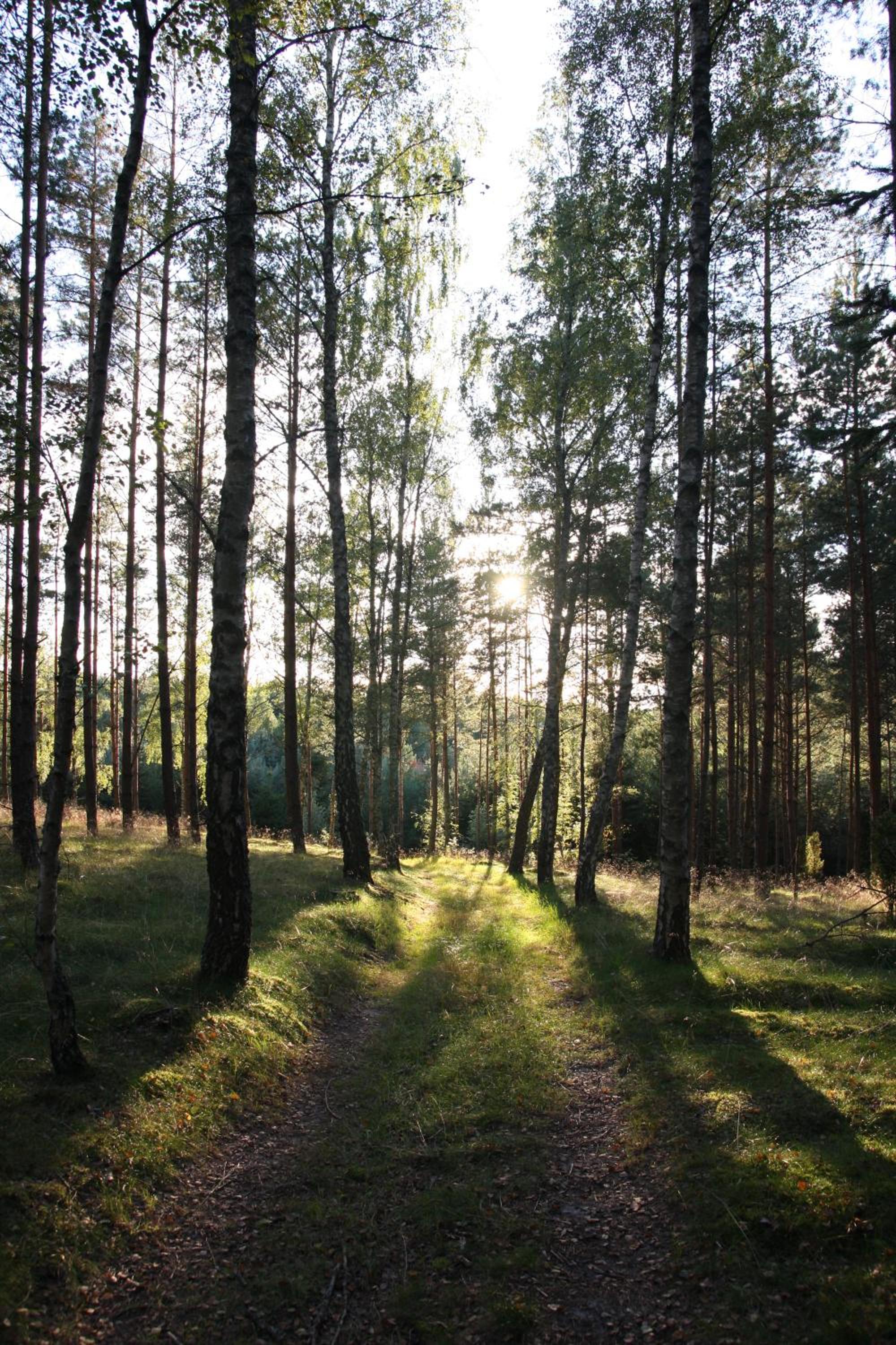 Photo 29