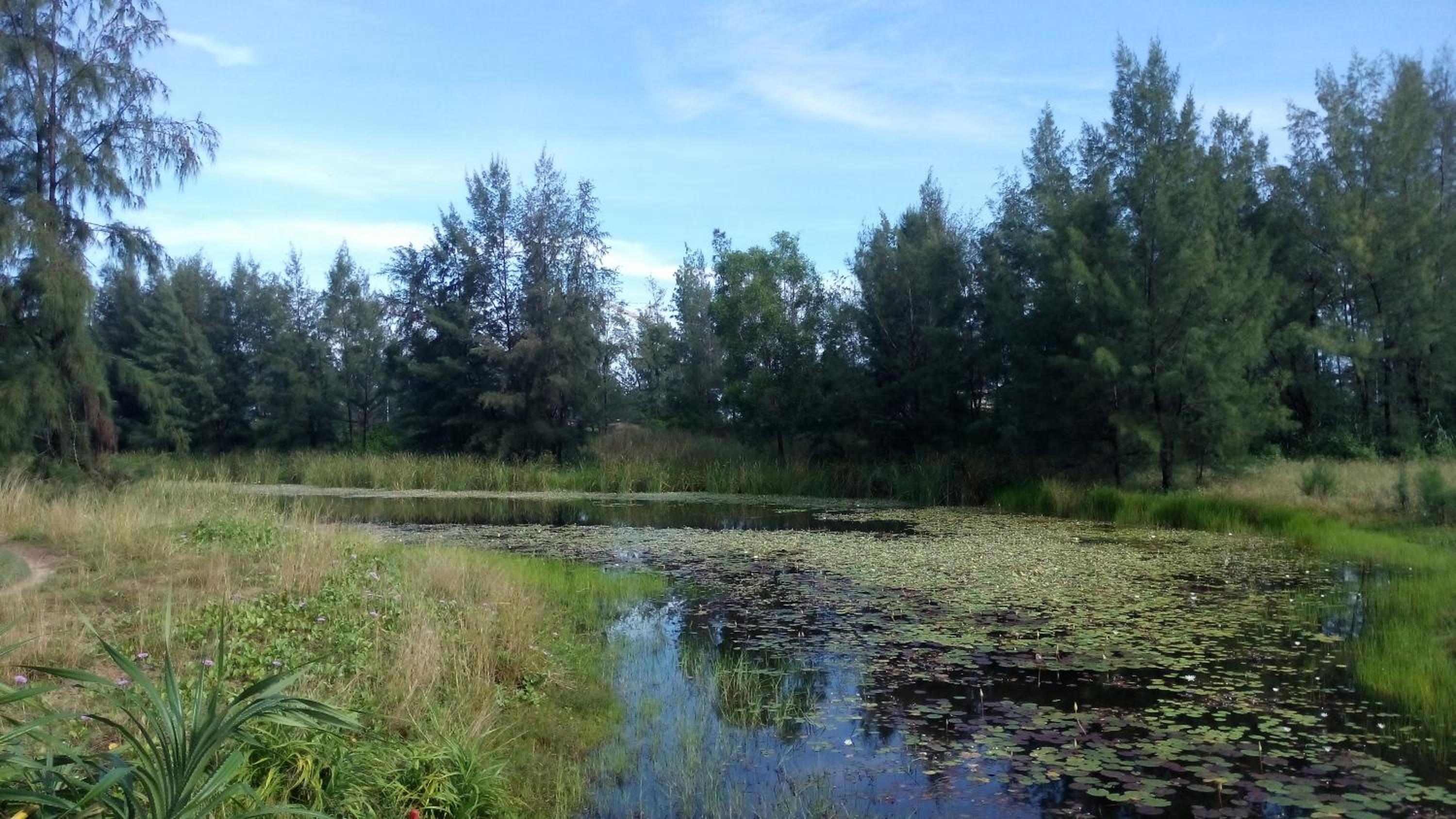 Photo 27