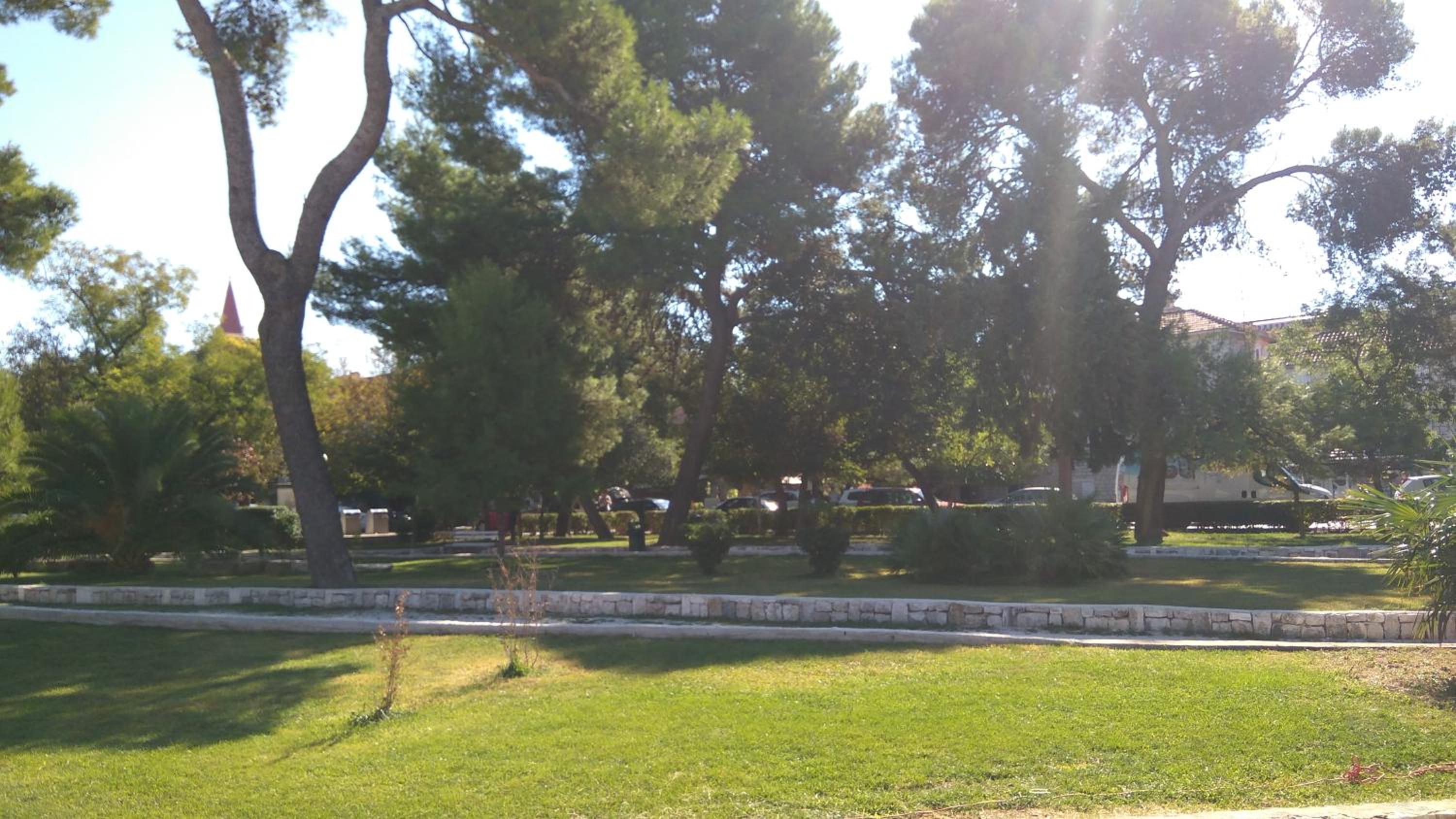 Photo 47