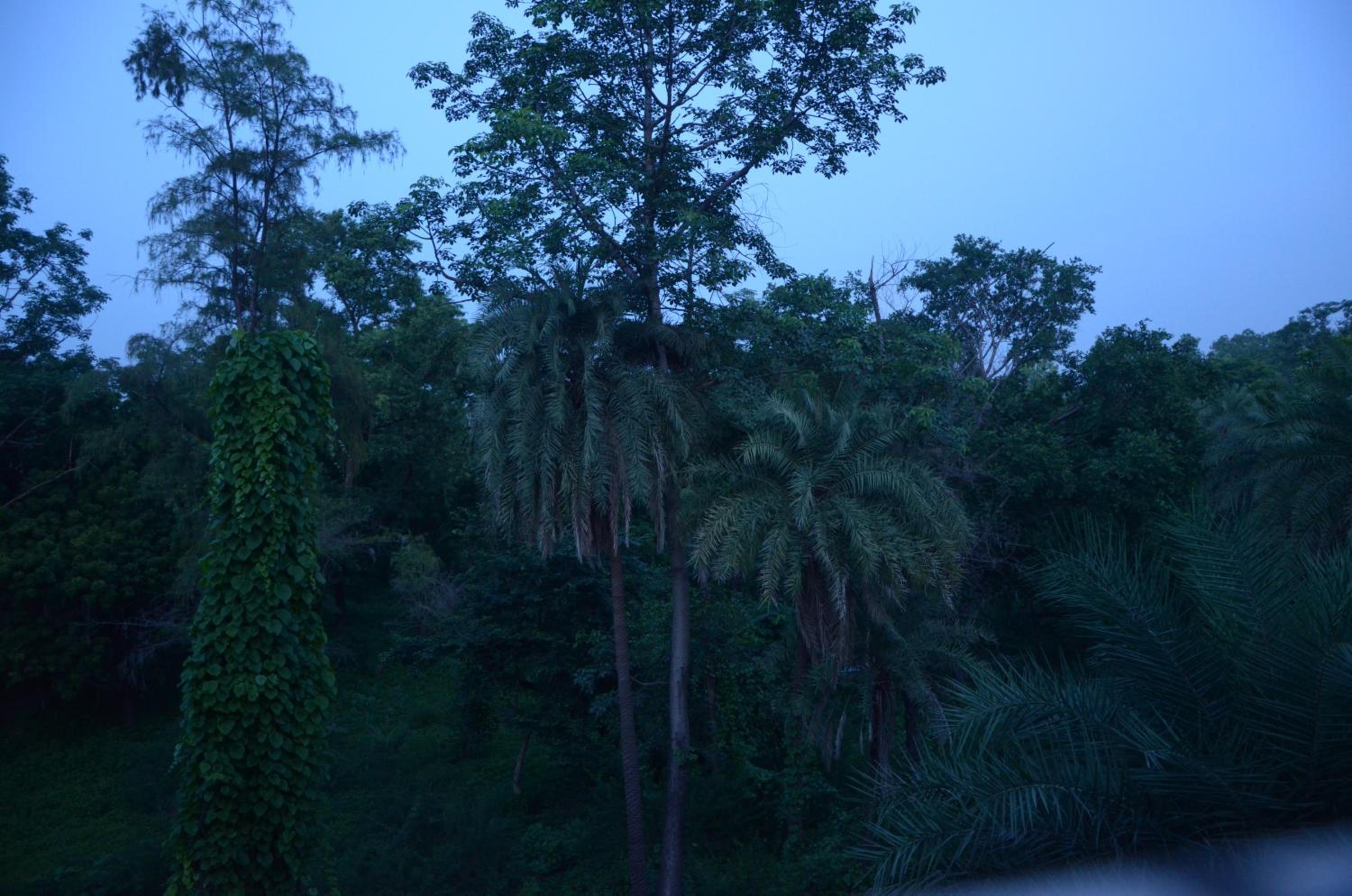 Su- Koon Homestay