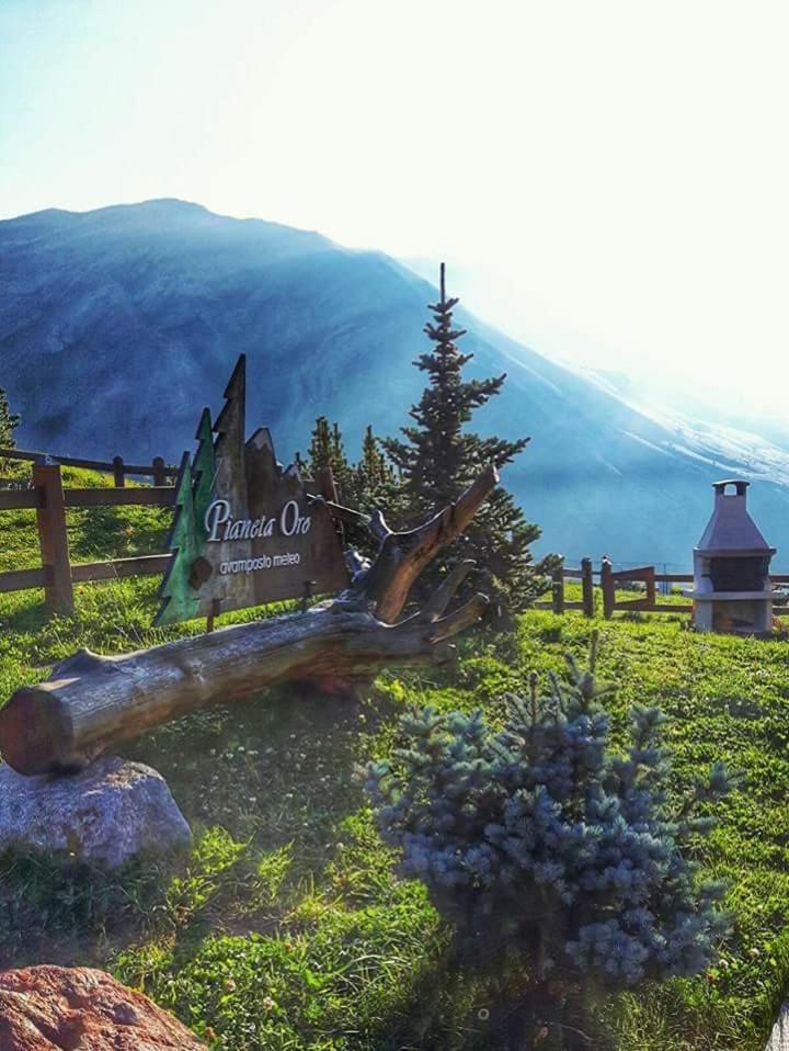 Pianeta Oro Avamposto Meteo
