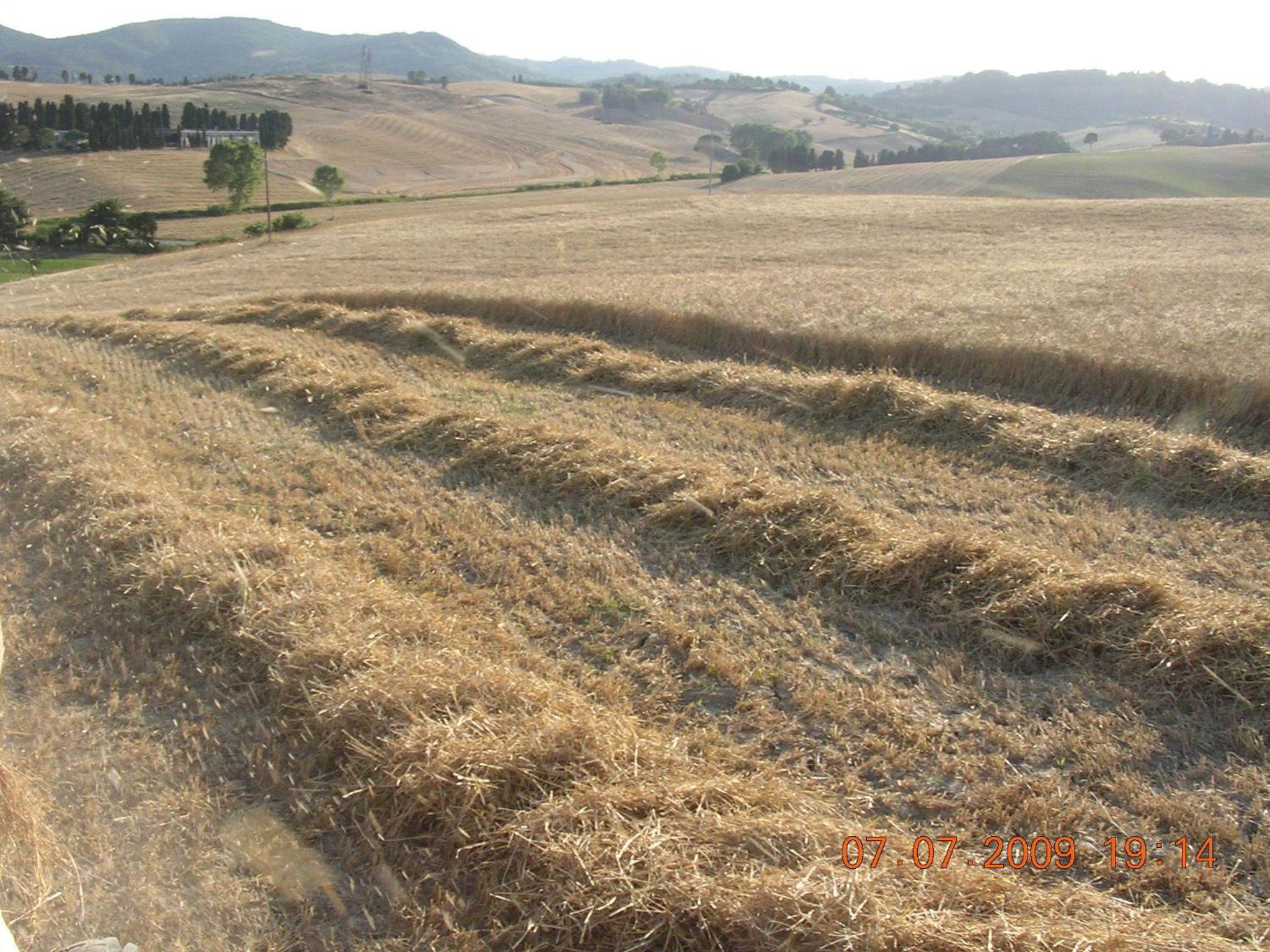 Agriturismo Cappellese