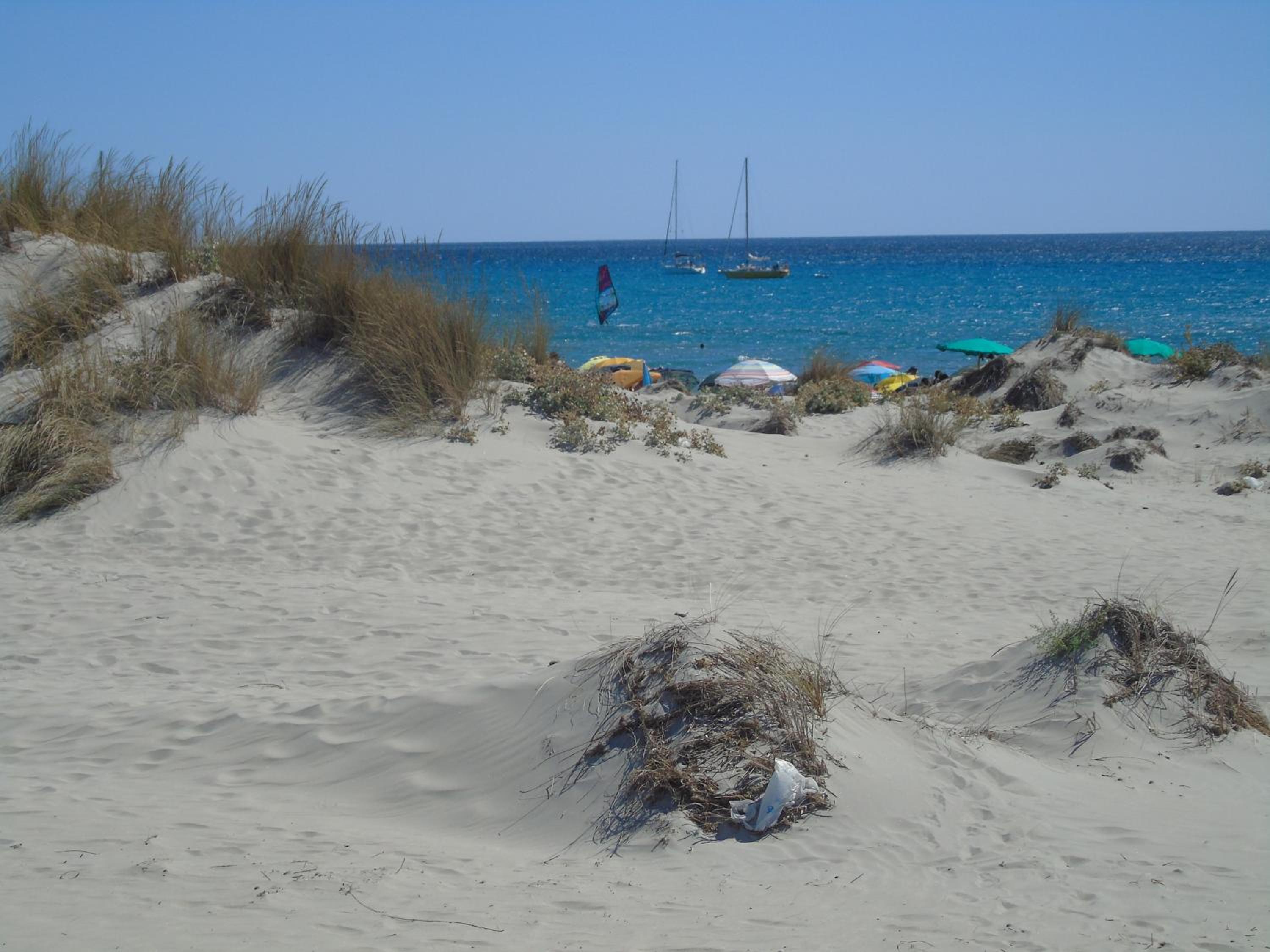 Photo 40