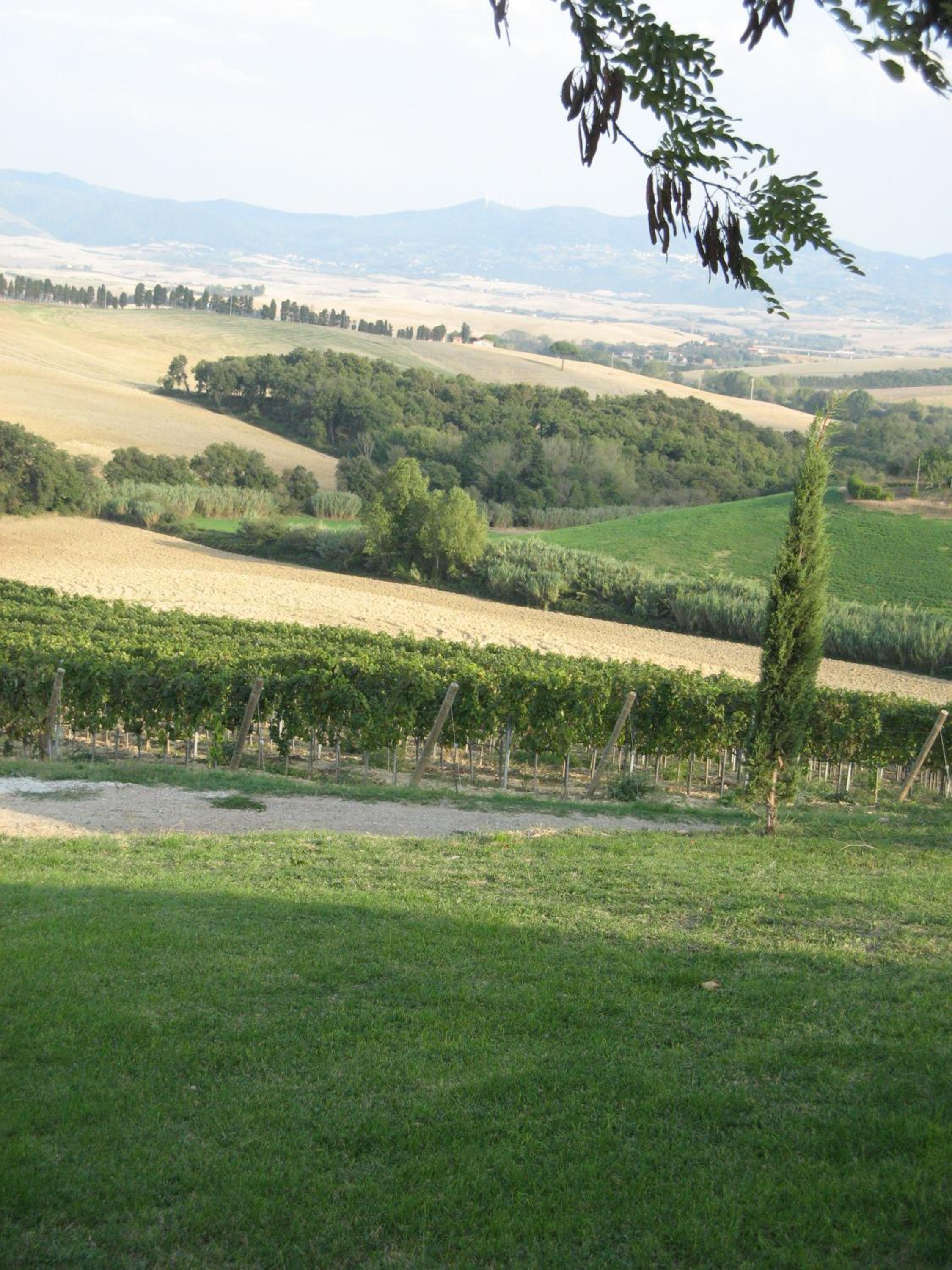Agriturismo Cappellese