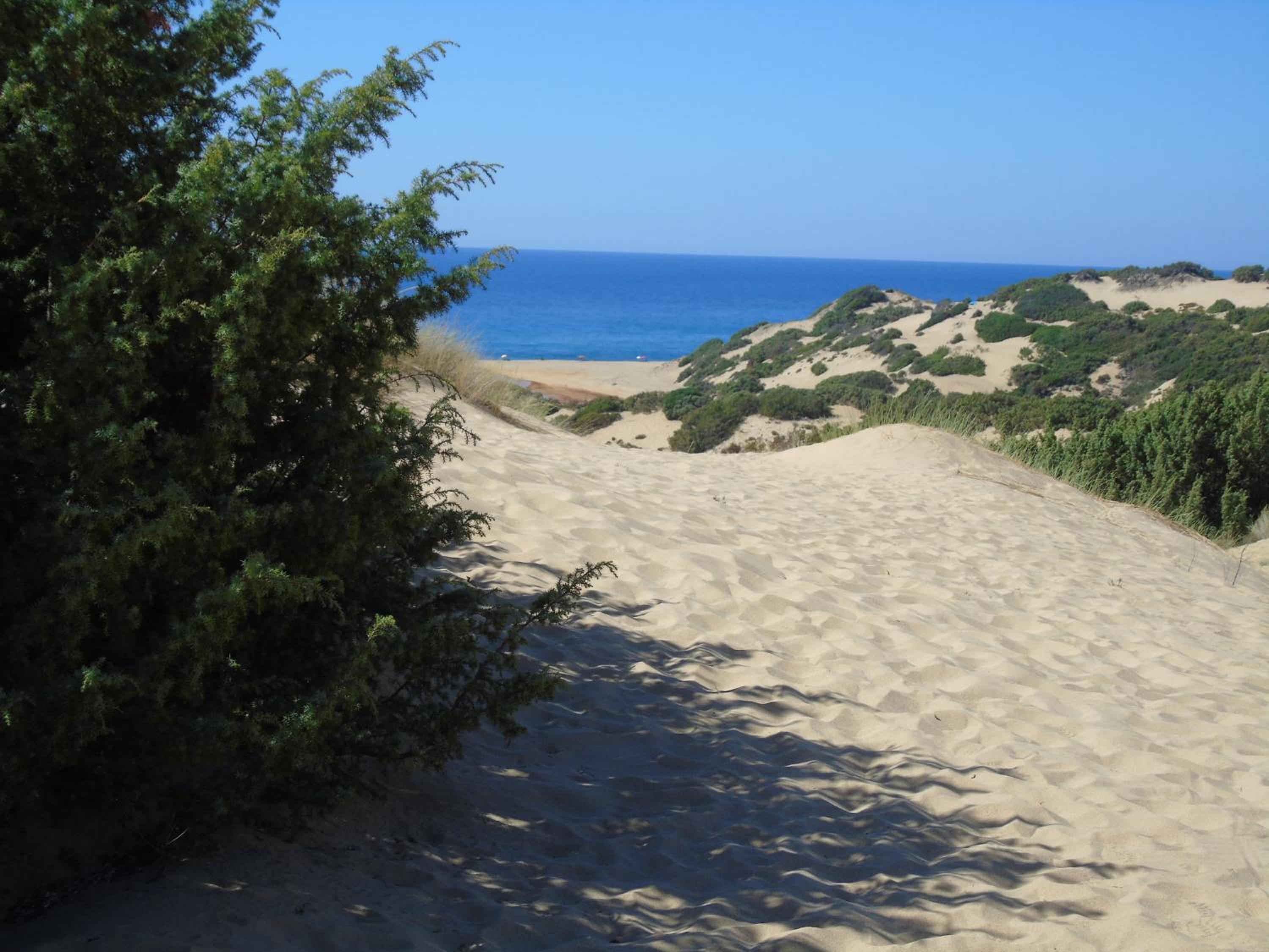 Photo 43