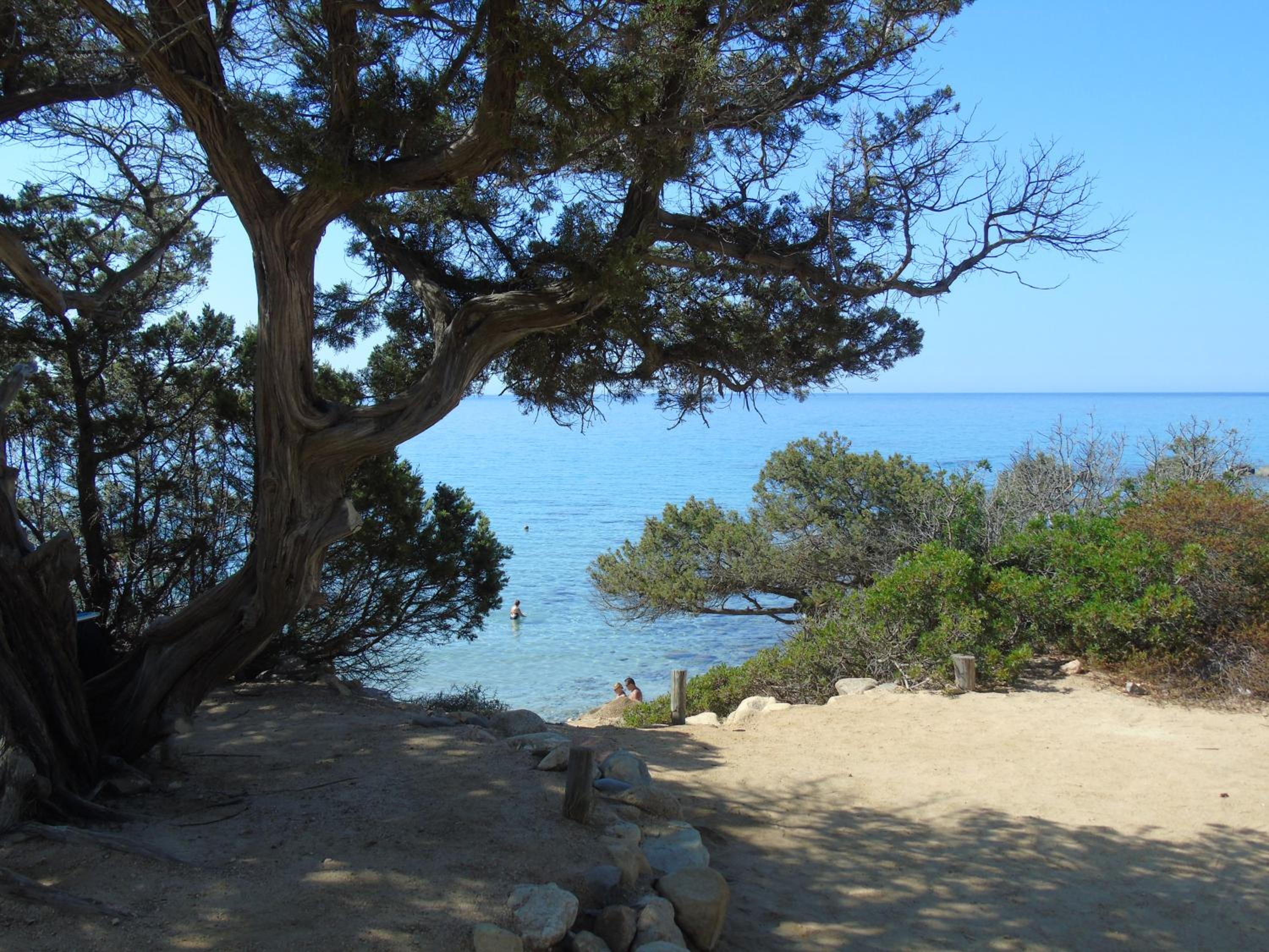 Photo 44