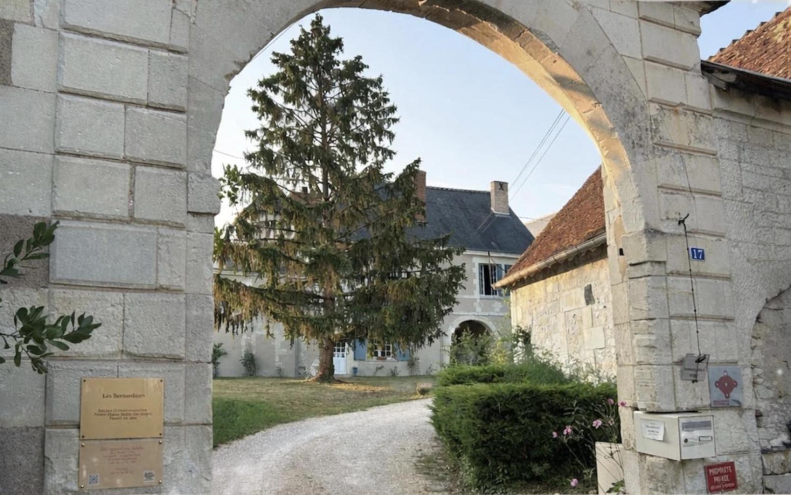 Photo 21