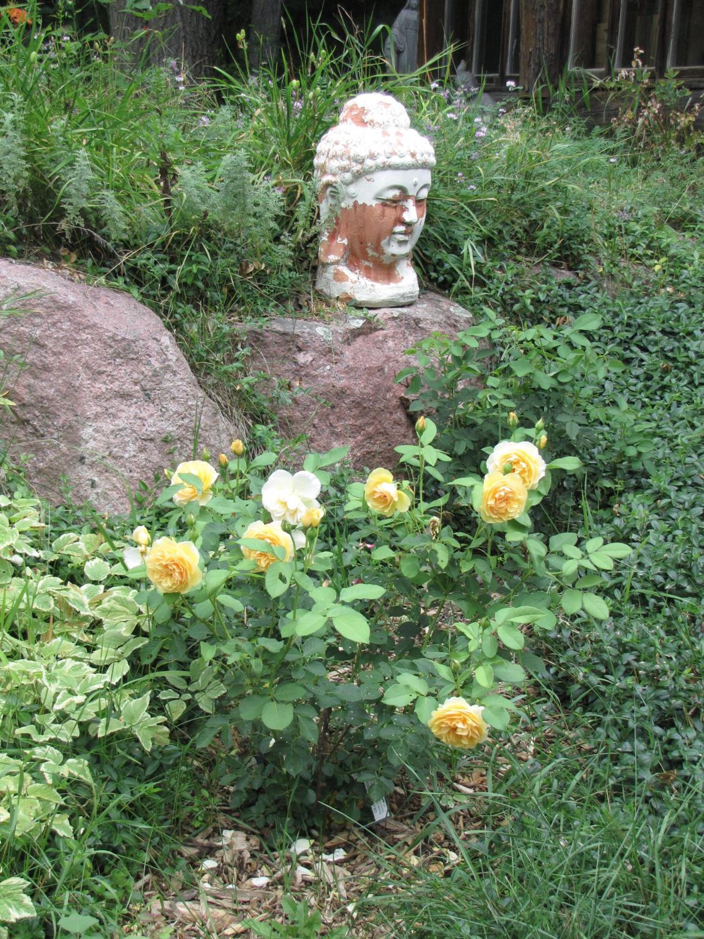Shambhala Bed and Breakfast