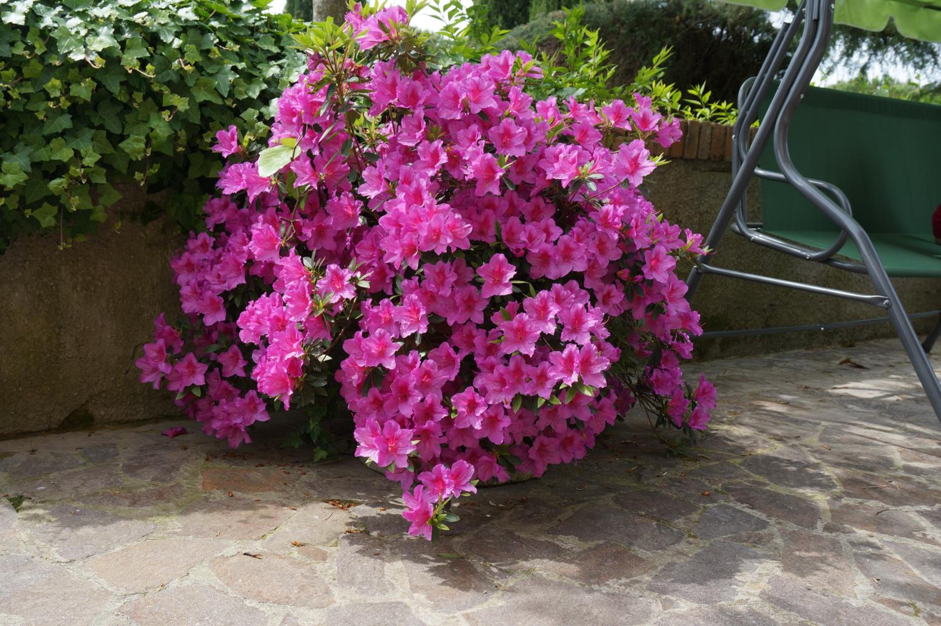 Agriturismo Il Colle
