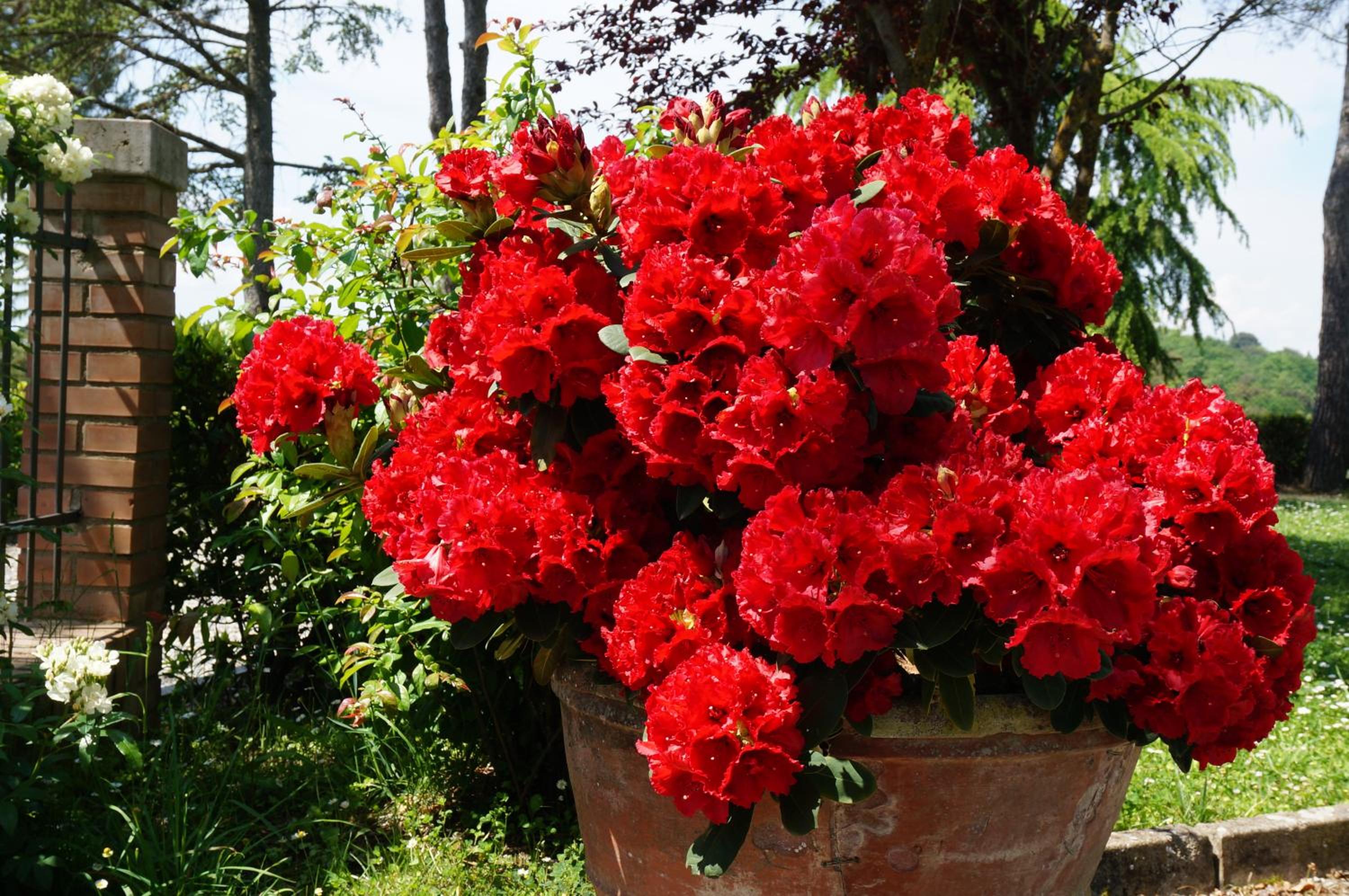 Agriturismo Il Colle
