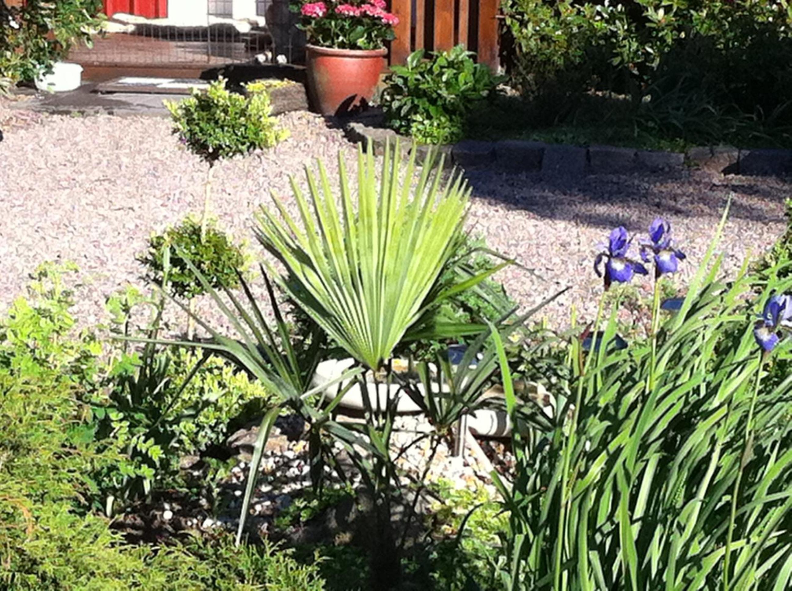 Photo 22