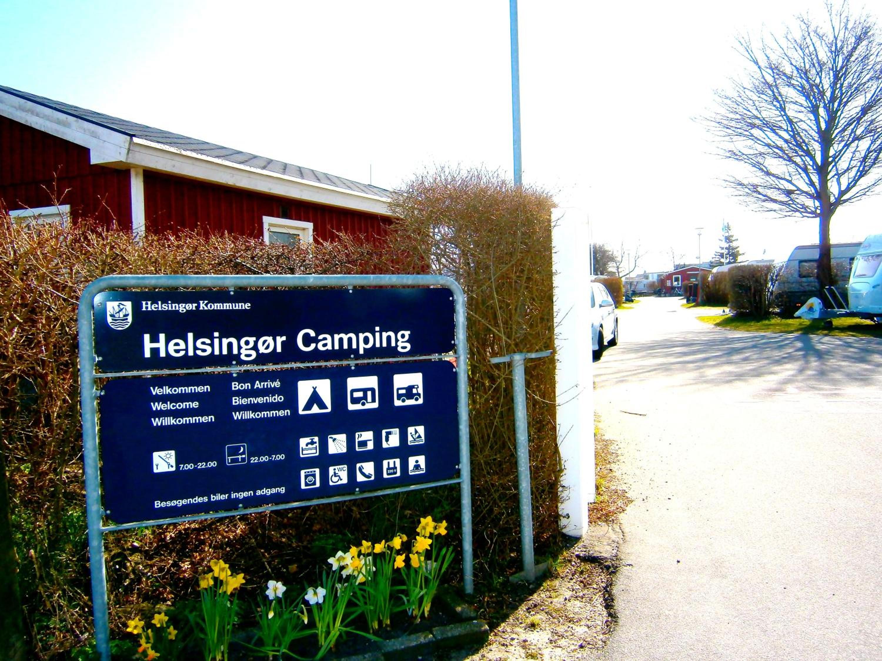 Photo 46