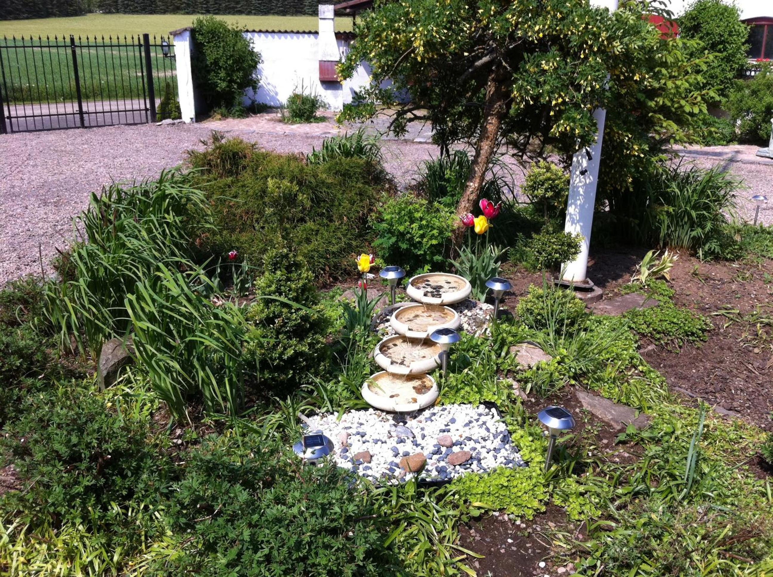 Photo 36