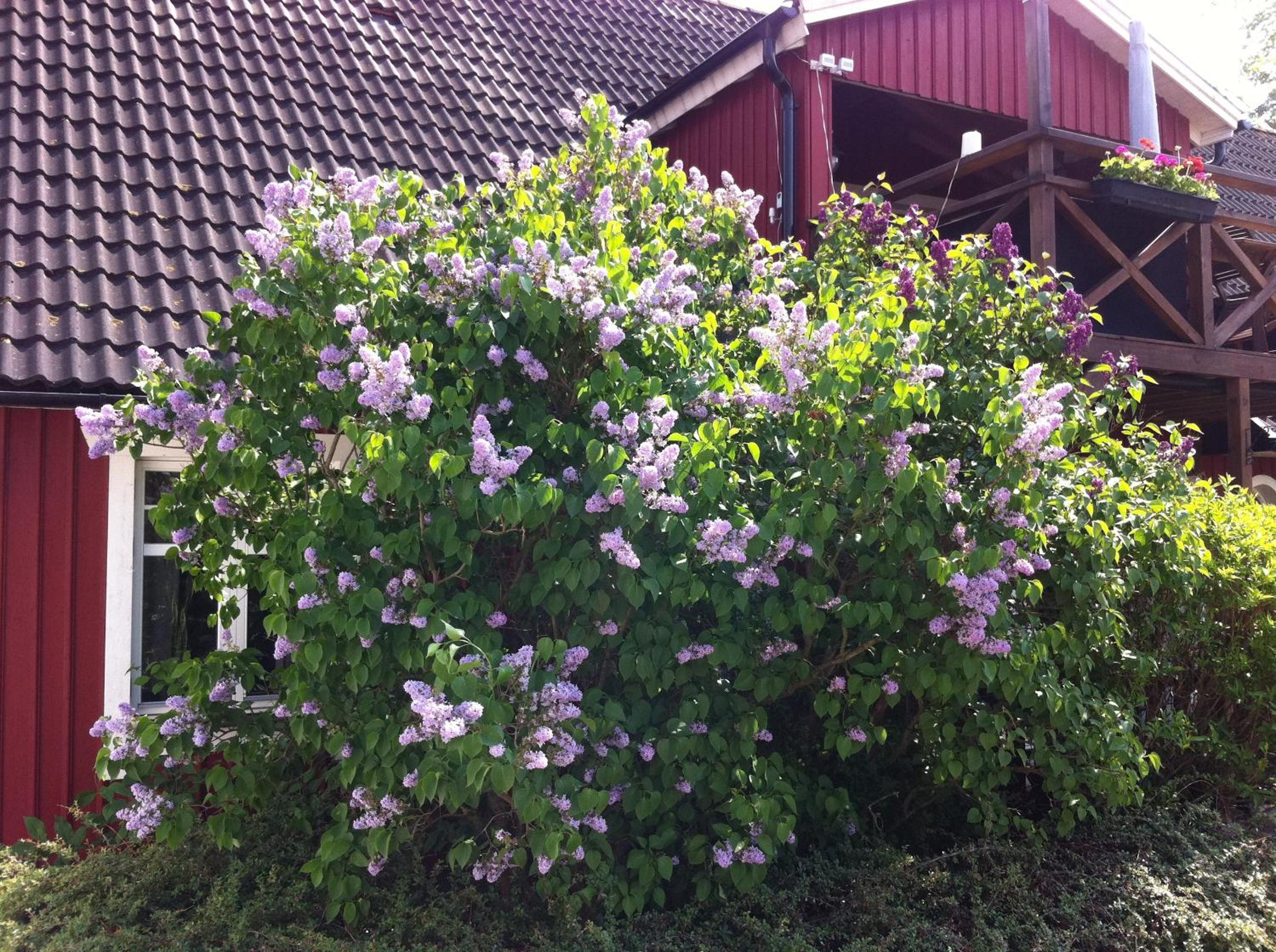 Photo 37