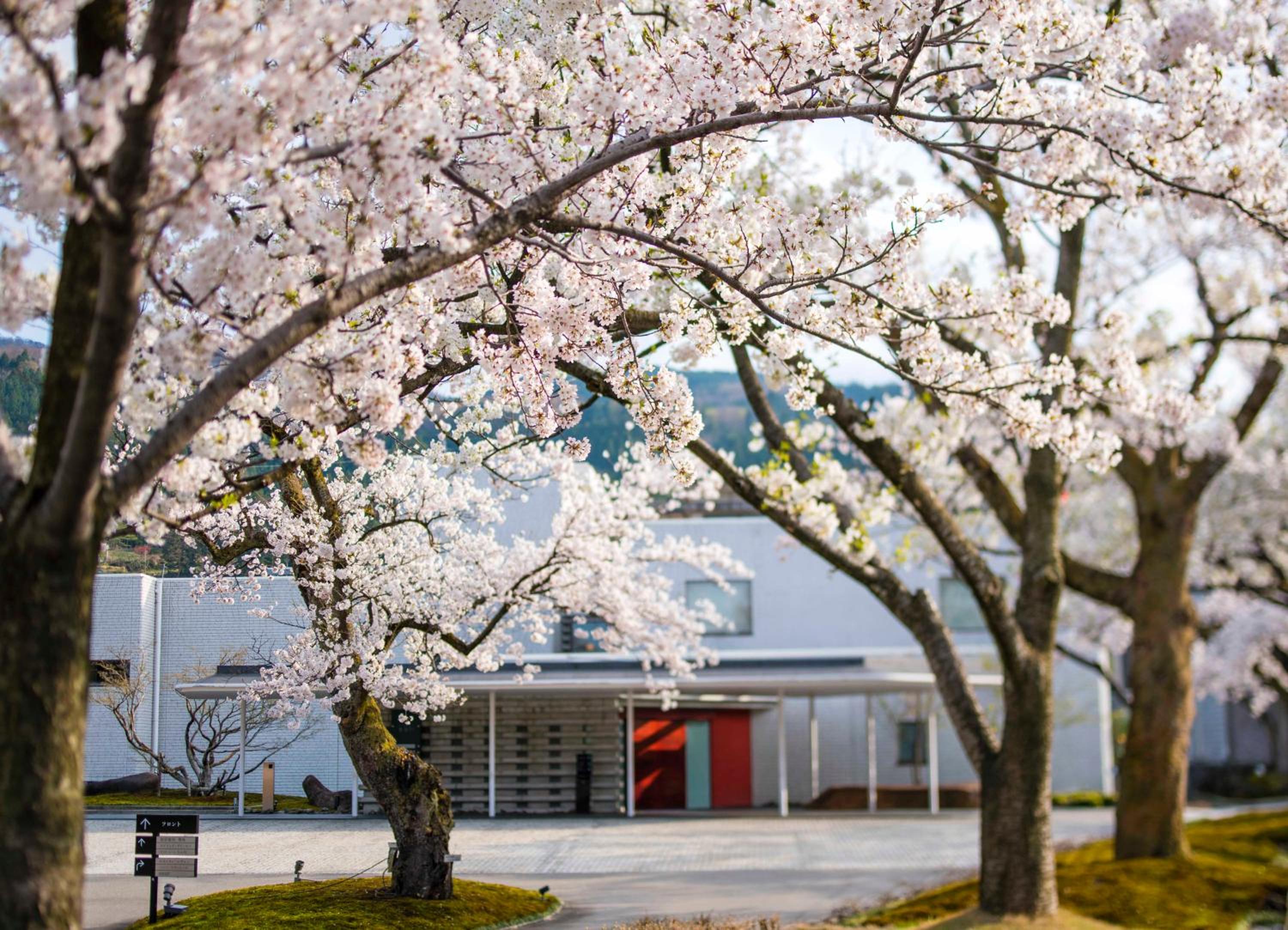 Hotel River Retreat Garaku