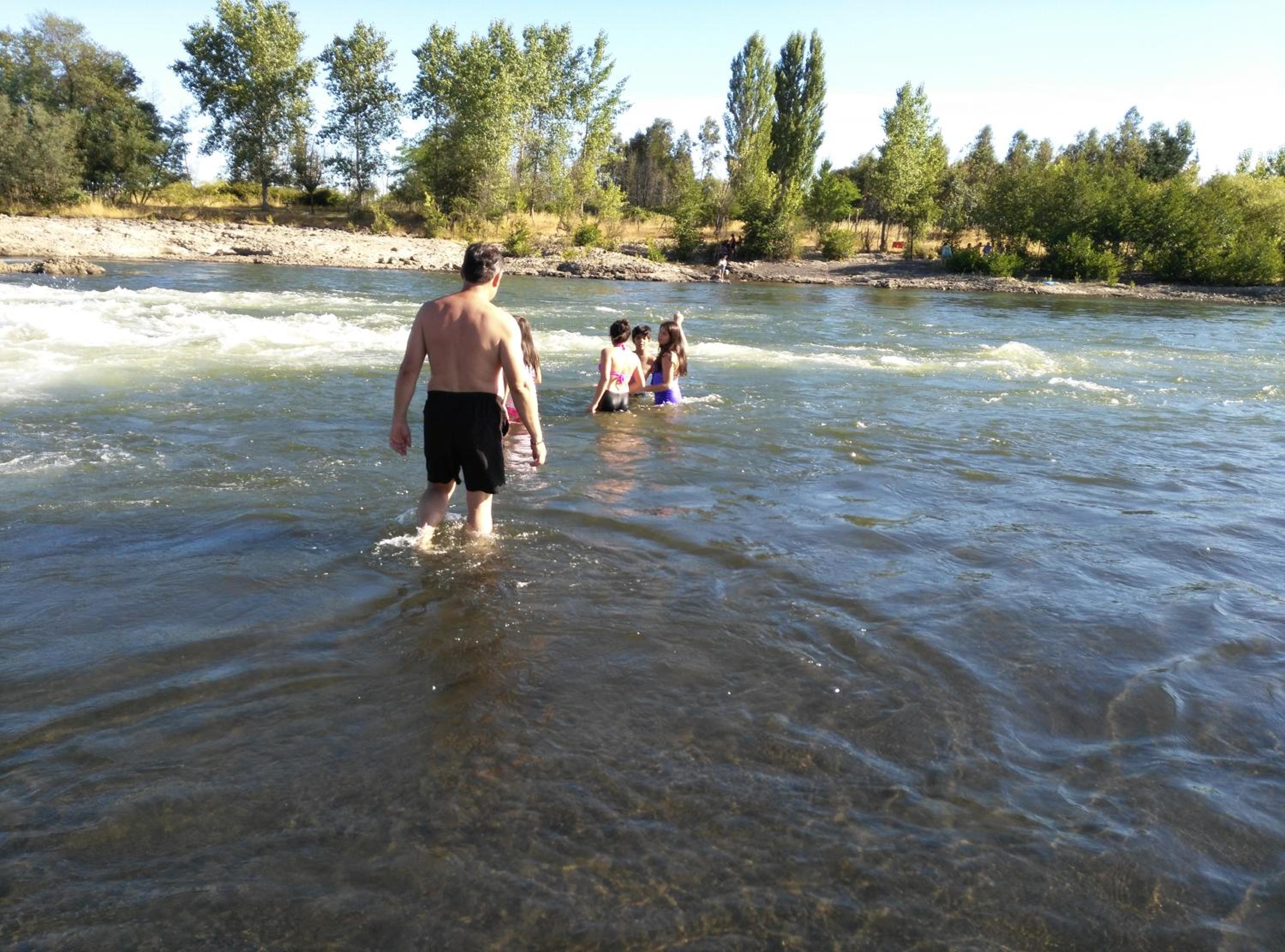 Photo 113