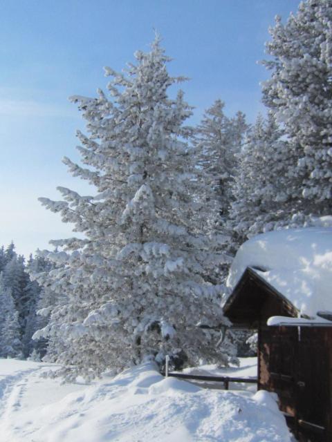 Wirtshaus zum Wiesejaggl