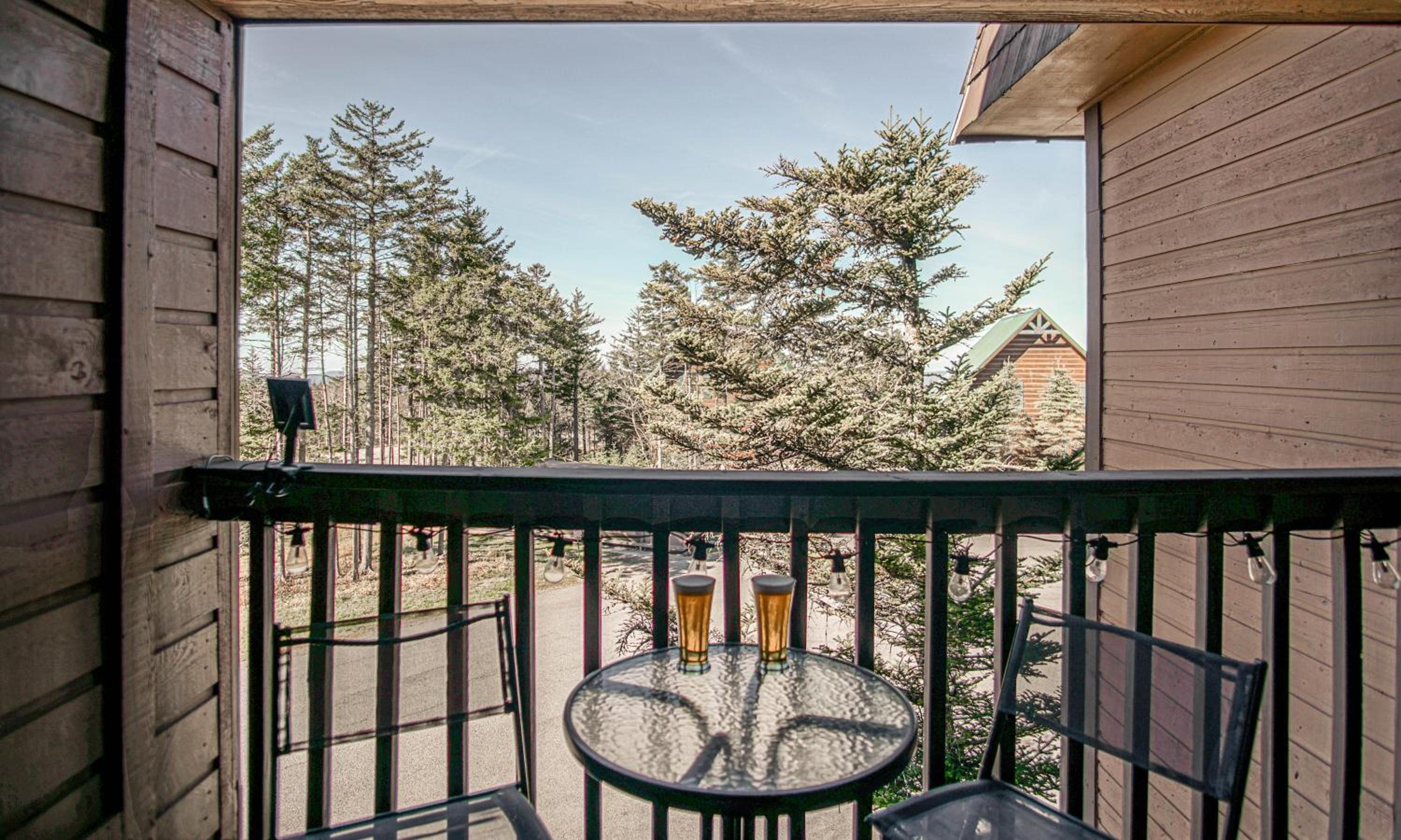 1 Br: Snowcrest 210B: Easy access to Widow Maker Territory