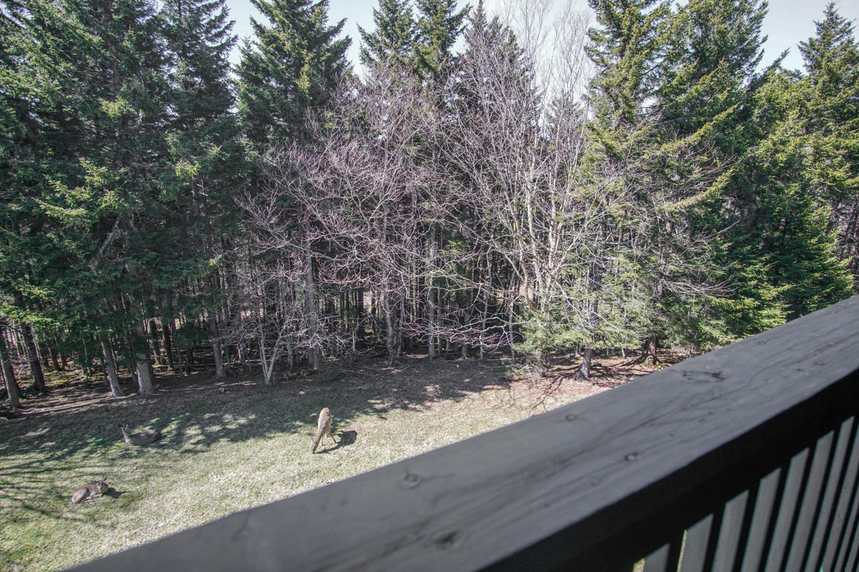 1Br: Studio Loft Ridgewood 59 Wood Fireplace, Washer and Dryer Full Kitchen