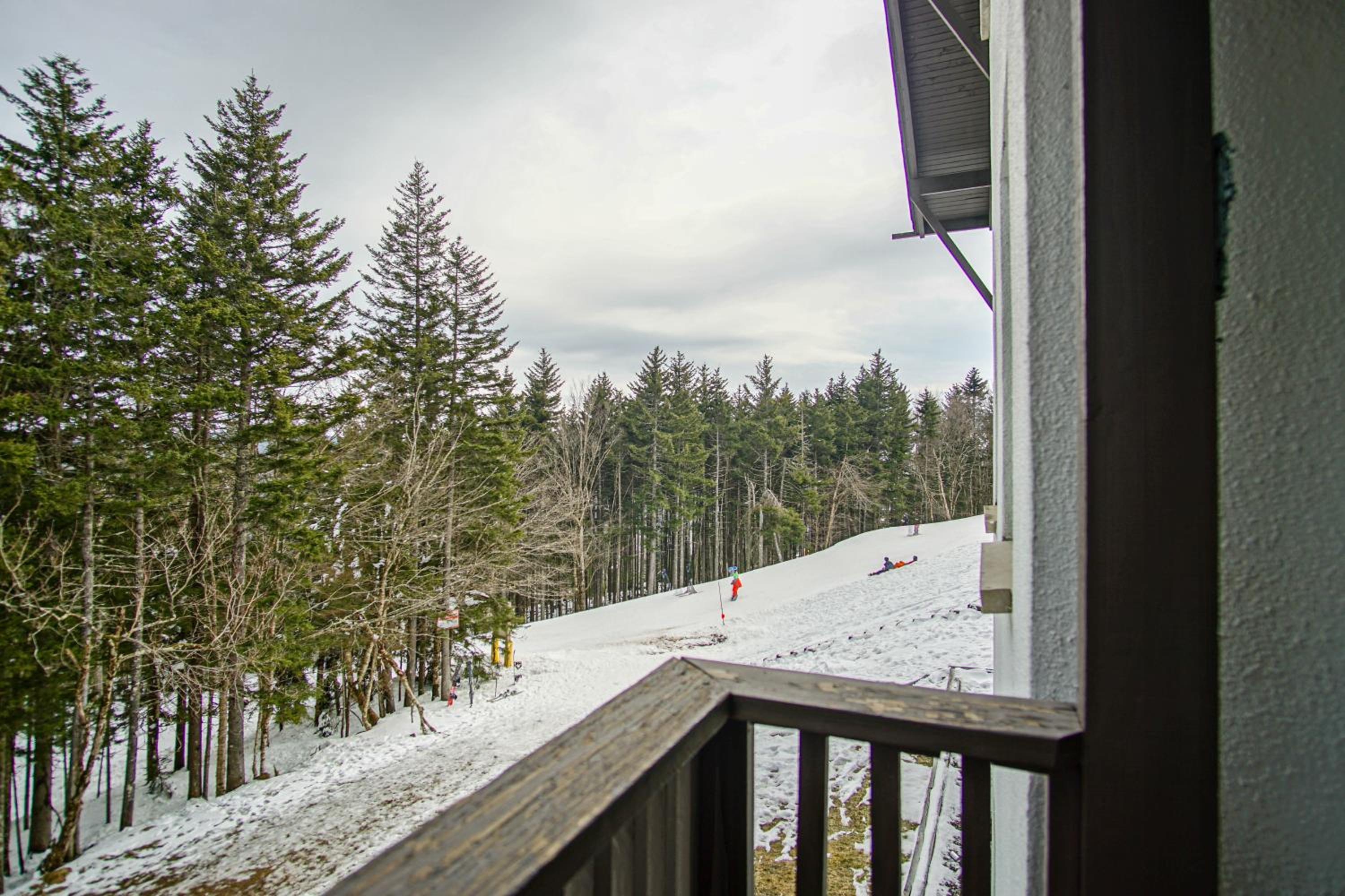 Whistlepunk #11: 2 Bedroom, 2 Bath: Wood fireplaceCentral Location