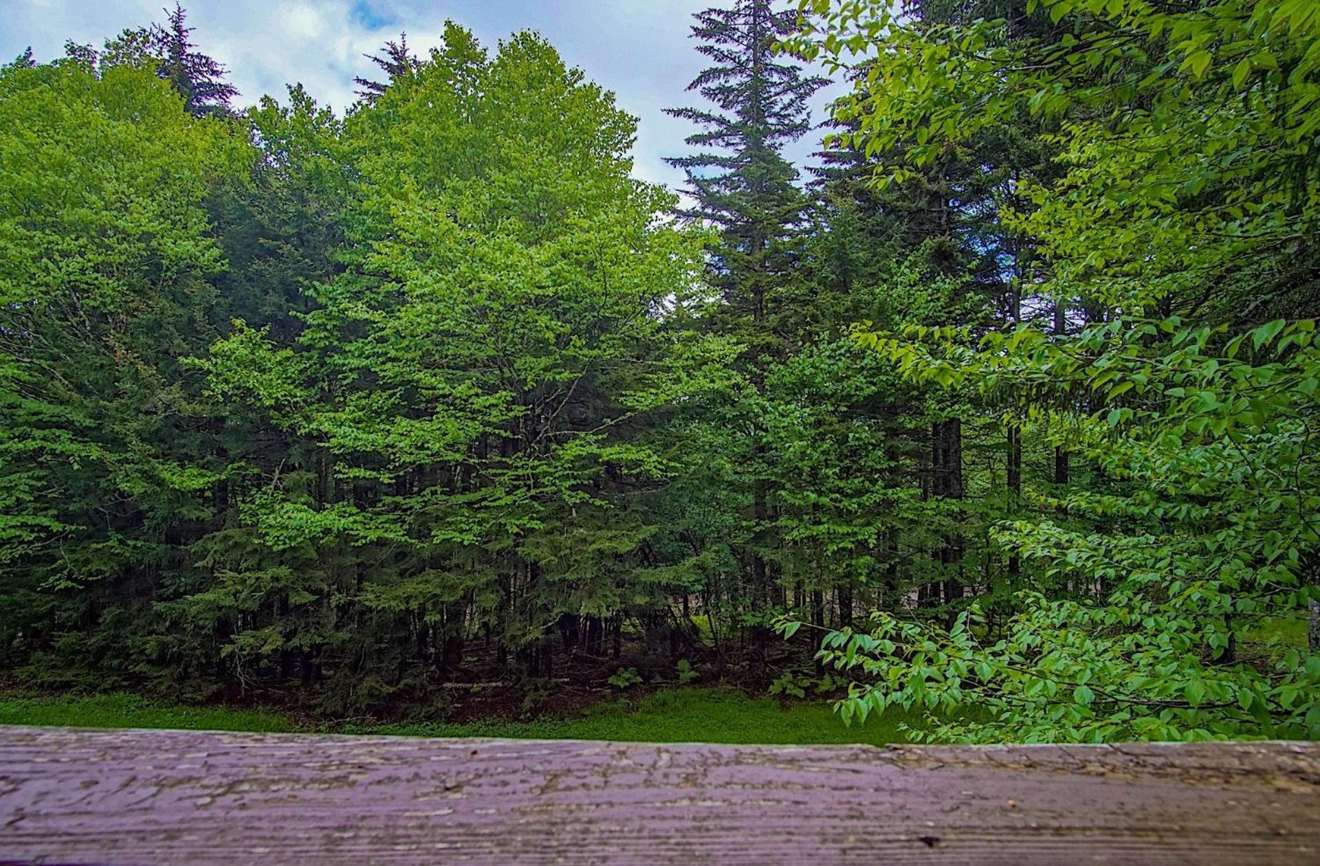 Tree Top 27 Mountaineer 3 Br Condo Slope Side
