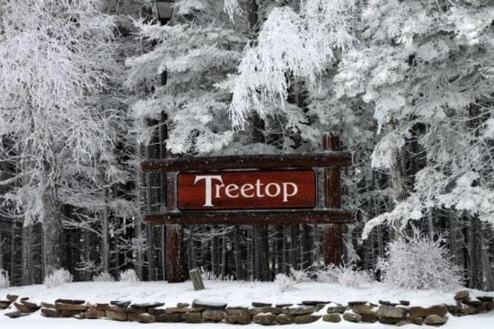 Tree Top 27 Mountaineer 3 Br Condo Slope Side