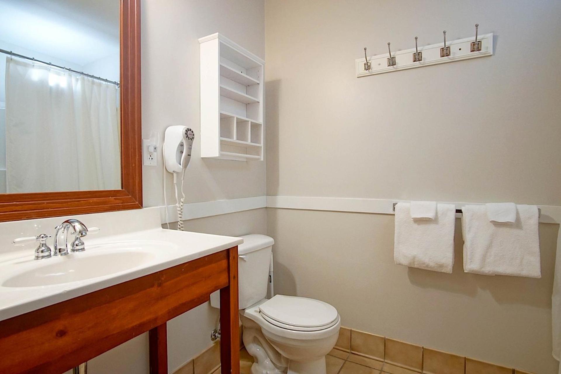 Ski In/Out! 1 Bed 1 Bath Slope Views Allegheny Springs 238