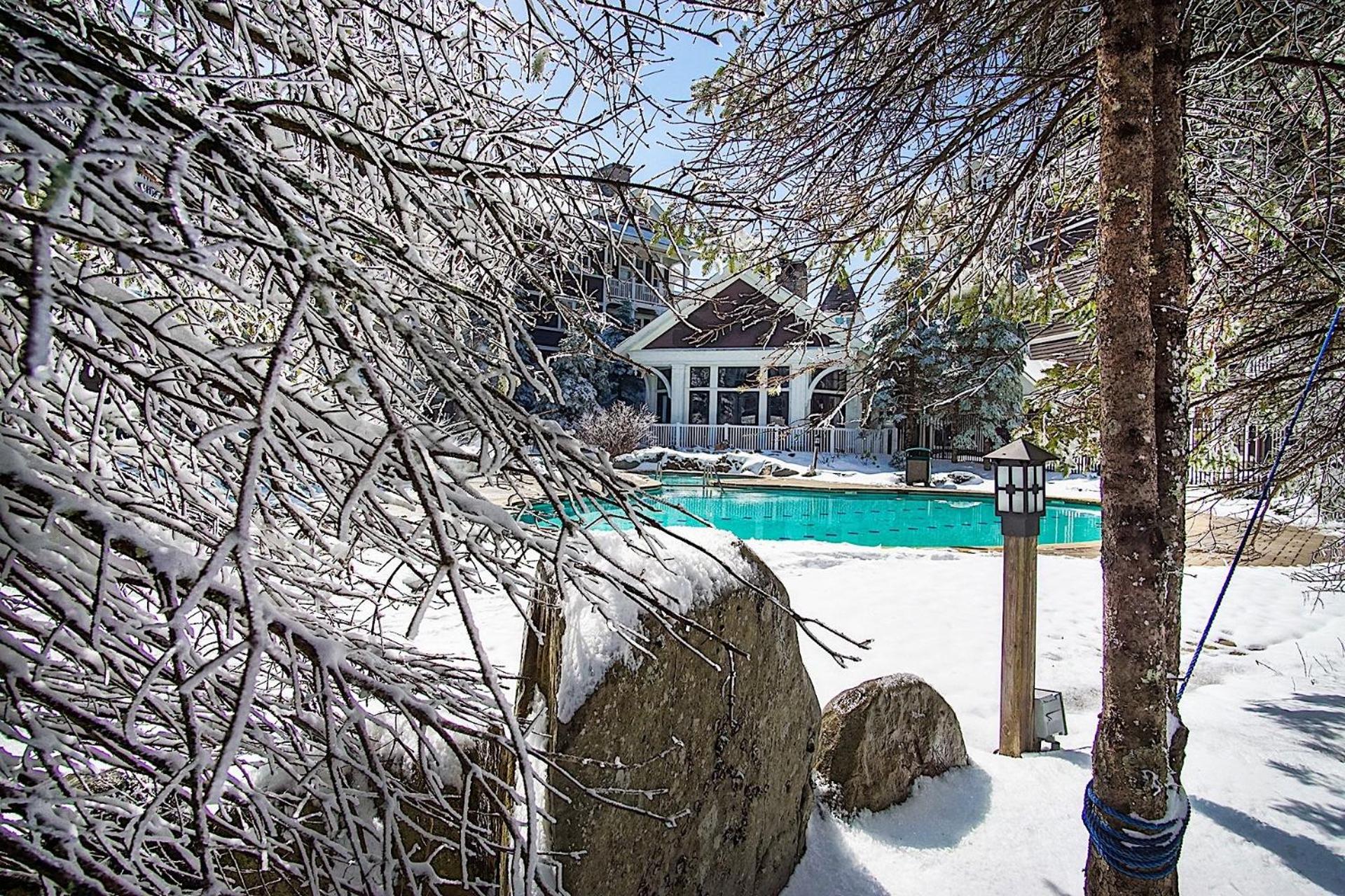 Ski In/Out! 1 Bed 1 Bath Slope Views Allegheny Springs 238
