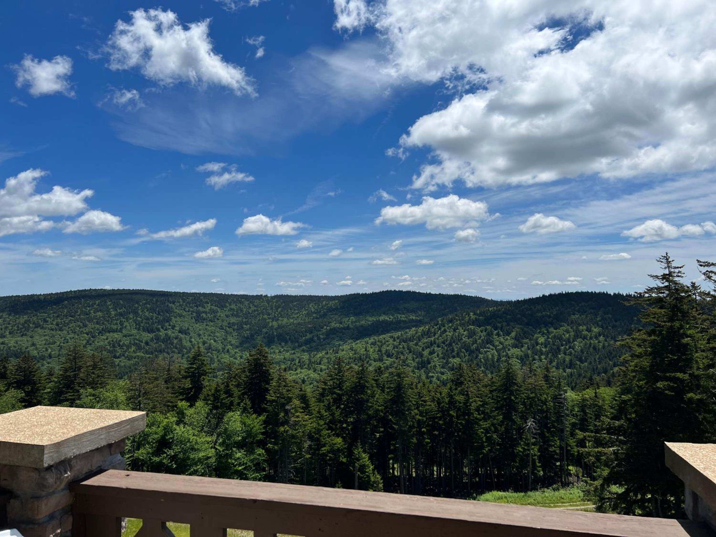 Slope side 8 BR at Sanctuary Majestic Mountain Top Estate 4800 square feet of quality sleeps 16