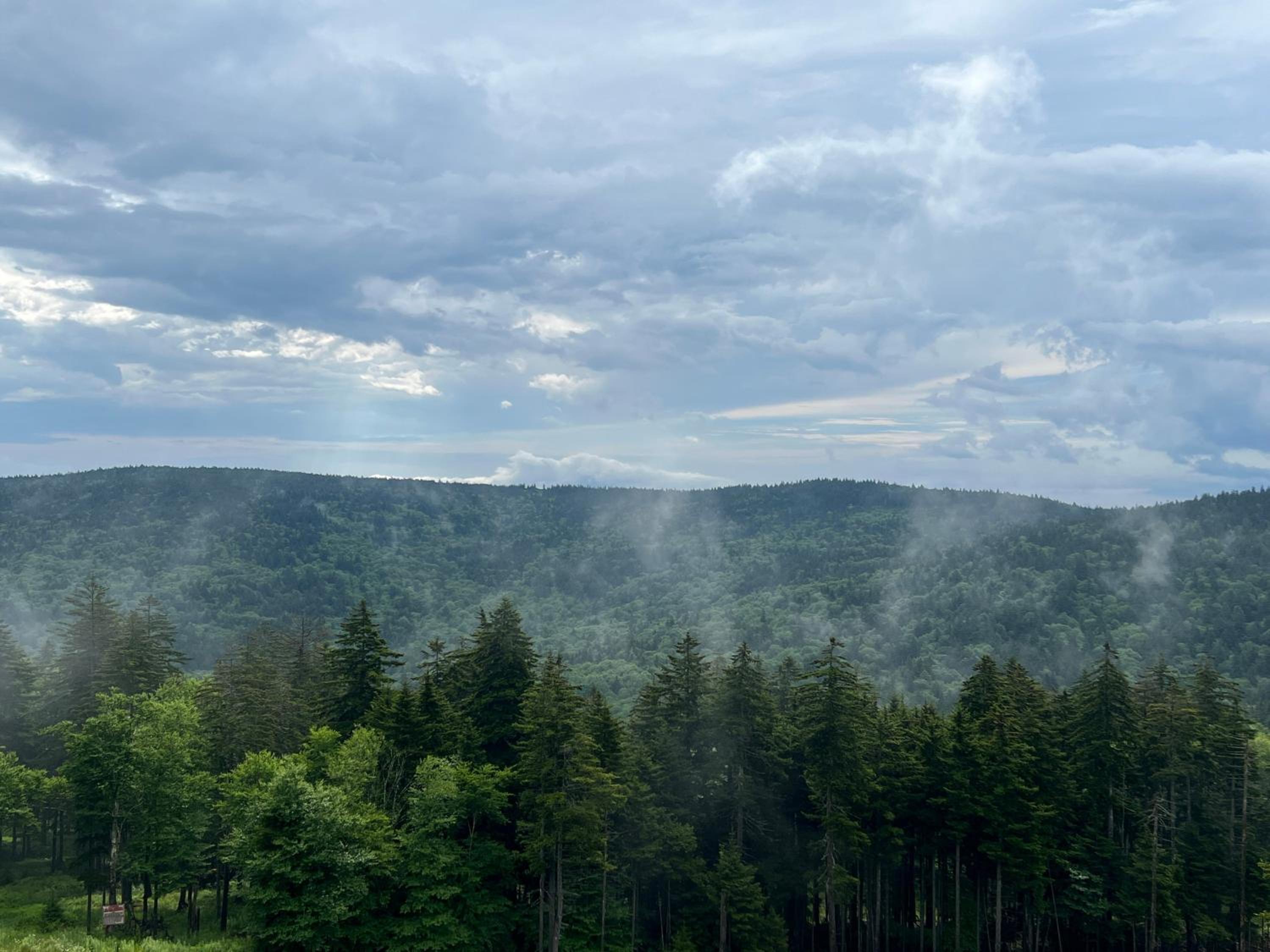 Slope side 8 BR at Sanctuary Majestic Mountain Top Estate 4800 square feet of quality sleeps 16
