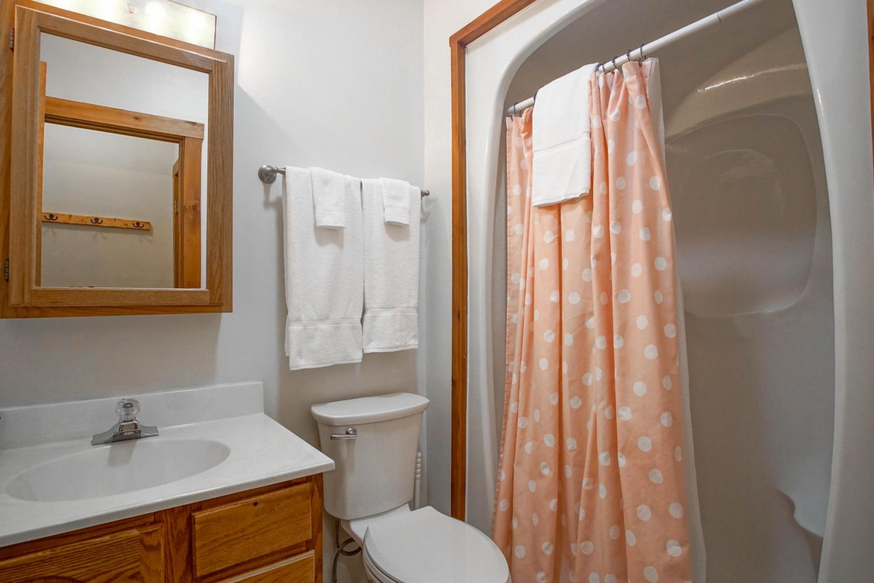 Whistlepunk 36: 1 Br Plus Bonus Sleeping Loft Slope Side