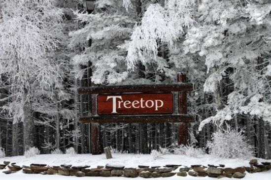 Tree Top 39, 2 Bedroom Townhome Slopeside