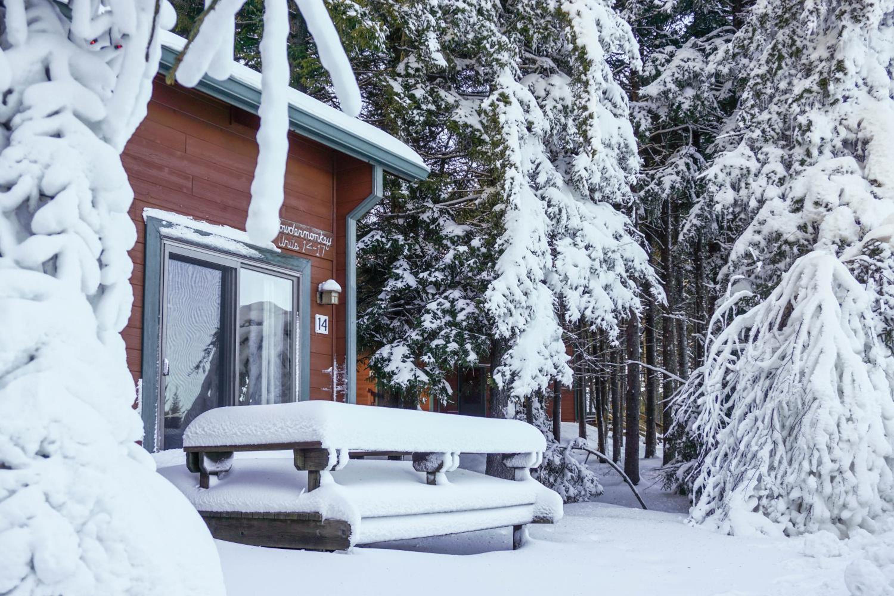 Powder Monkey #14: 3 Bedrooms, 2 Full Baths: Ski to your door!