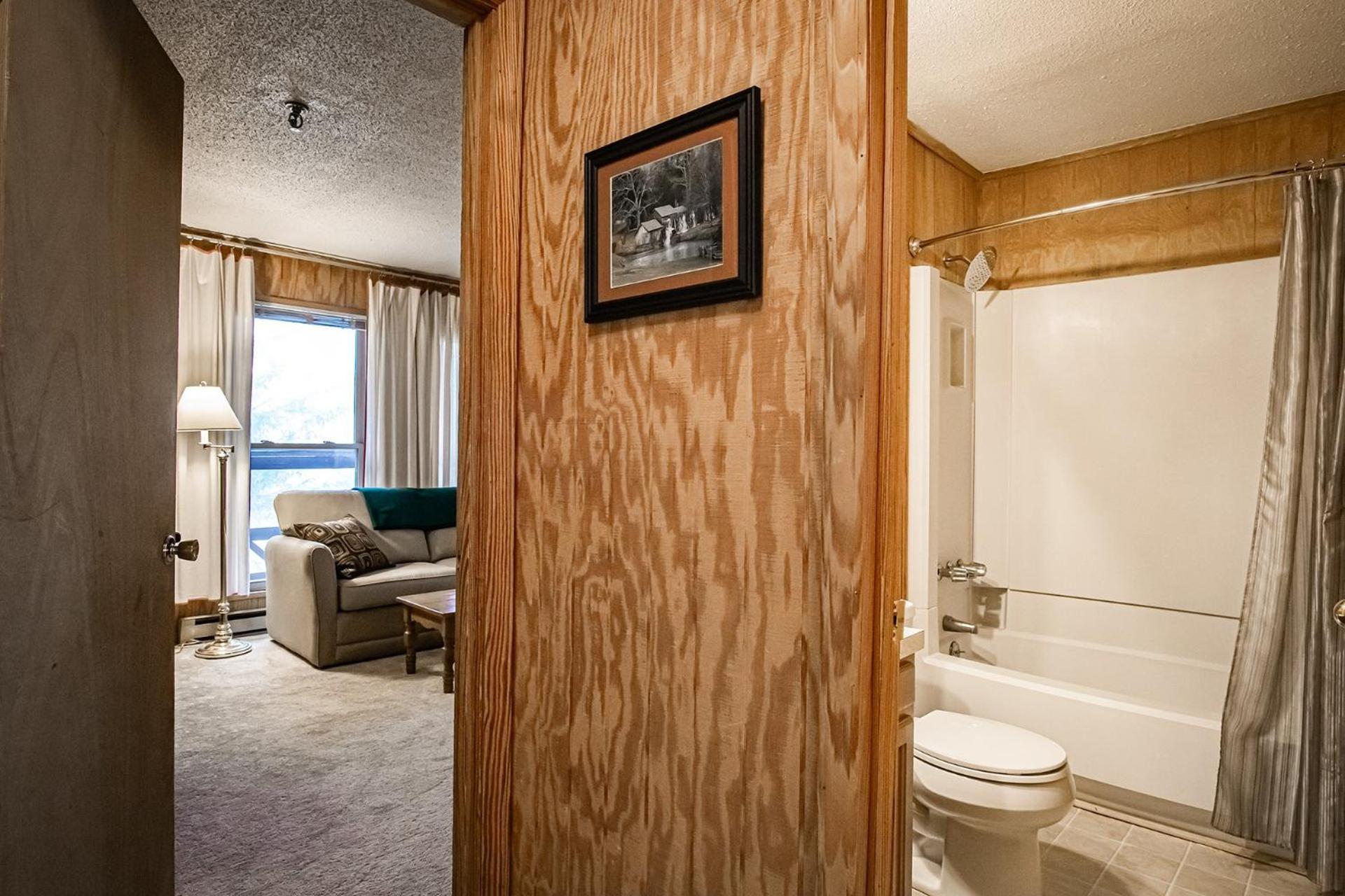 Leatherbark - 301B, 2 Bedroom Allegheny Sunrise Spacious Condo Foosball