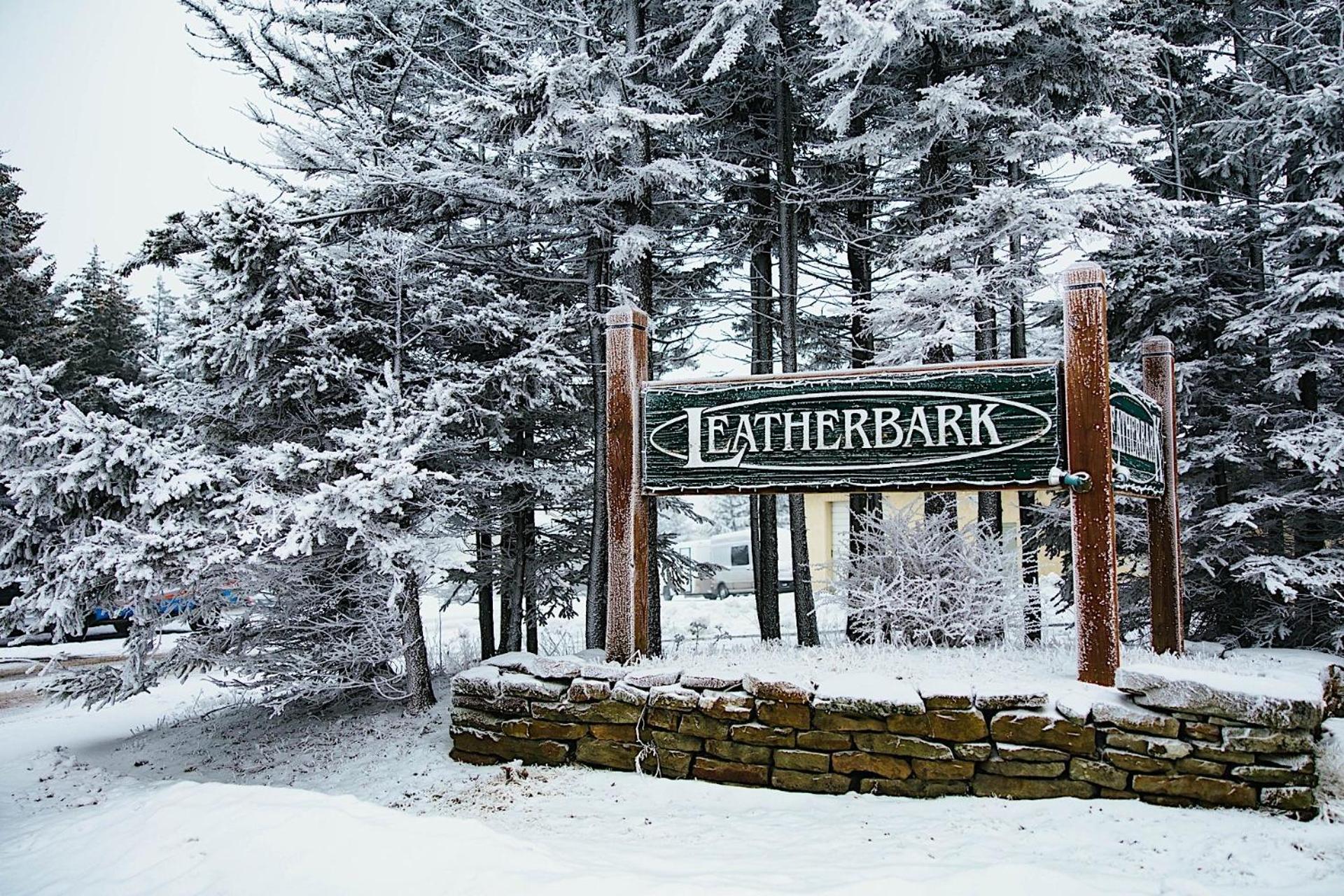 Leatherbark - 301B, 2 Bedroom Allegheny Sunrise Spacious Condo Foosball