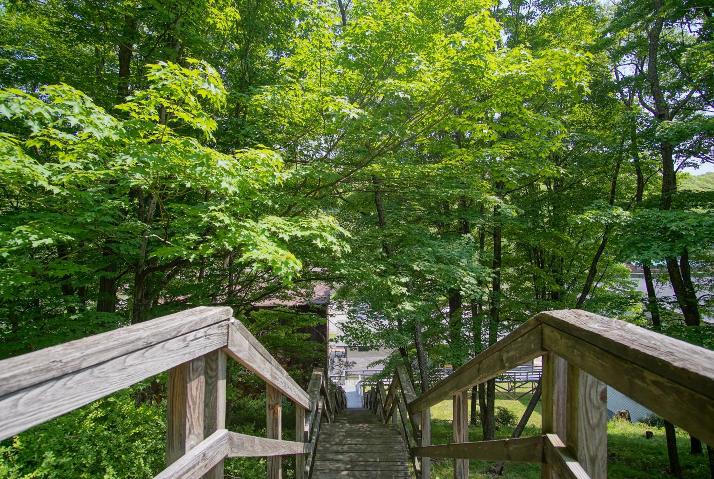 5 Br: Historic Glaab House in Cass, with AC, Amazing Kitchen, Covered Porches, Historical Landmark
