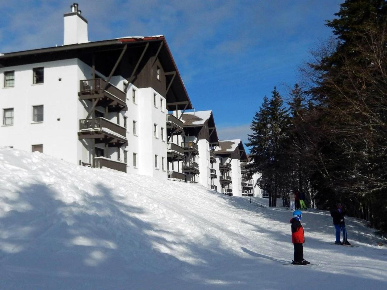 Whistlepunk 45- Modern comfort with Mountain Charm-1 bedroom