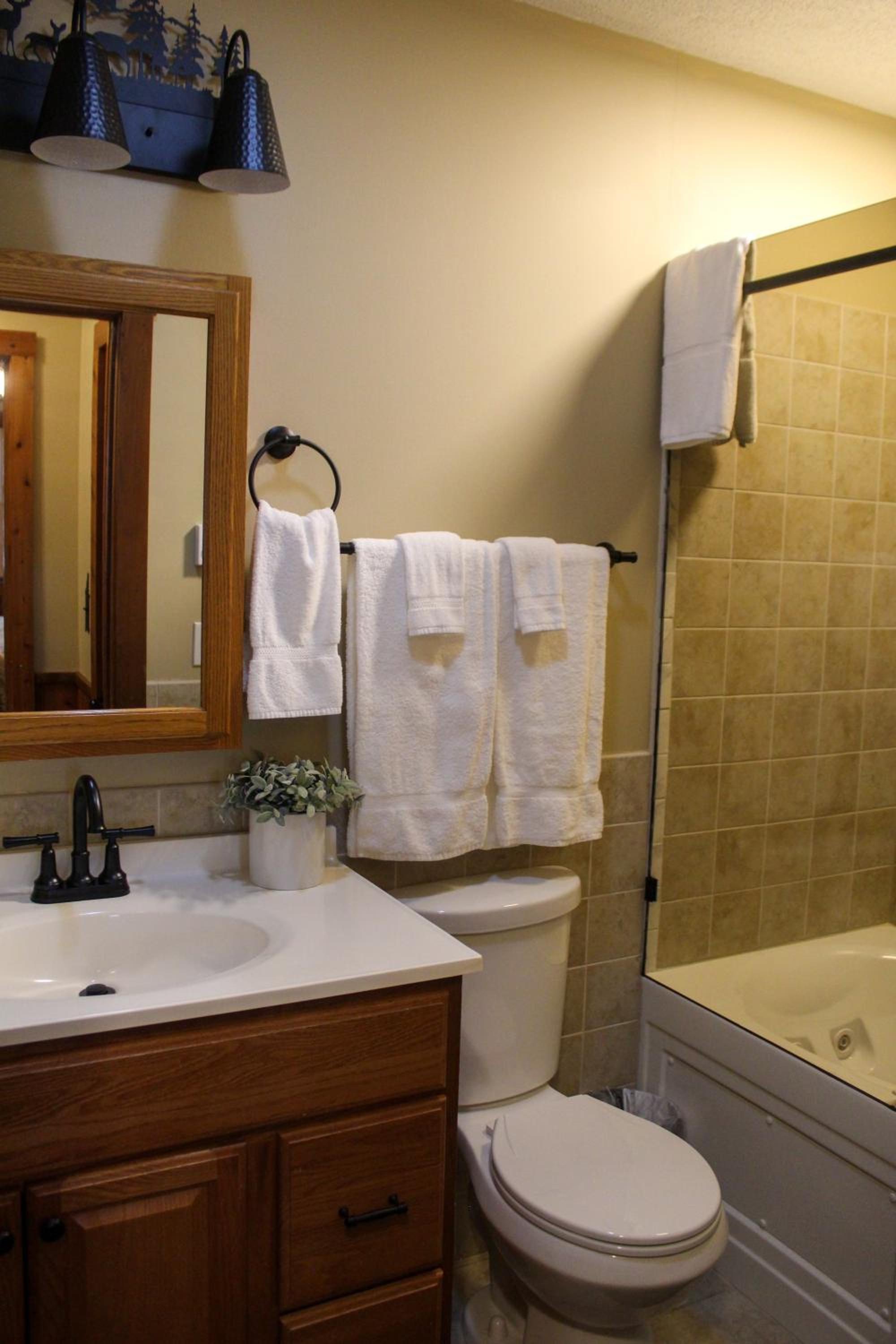 Whistlepunk 45- Modern comfort with Mountain Charm-1 bedroom