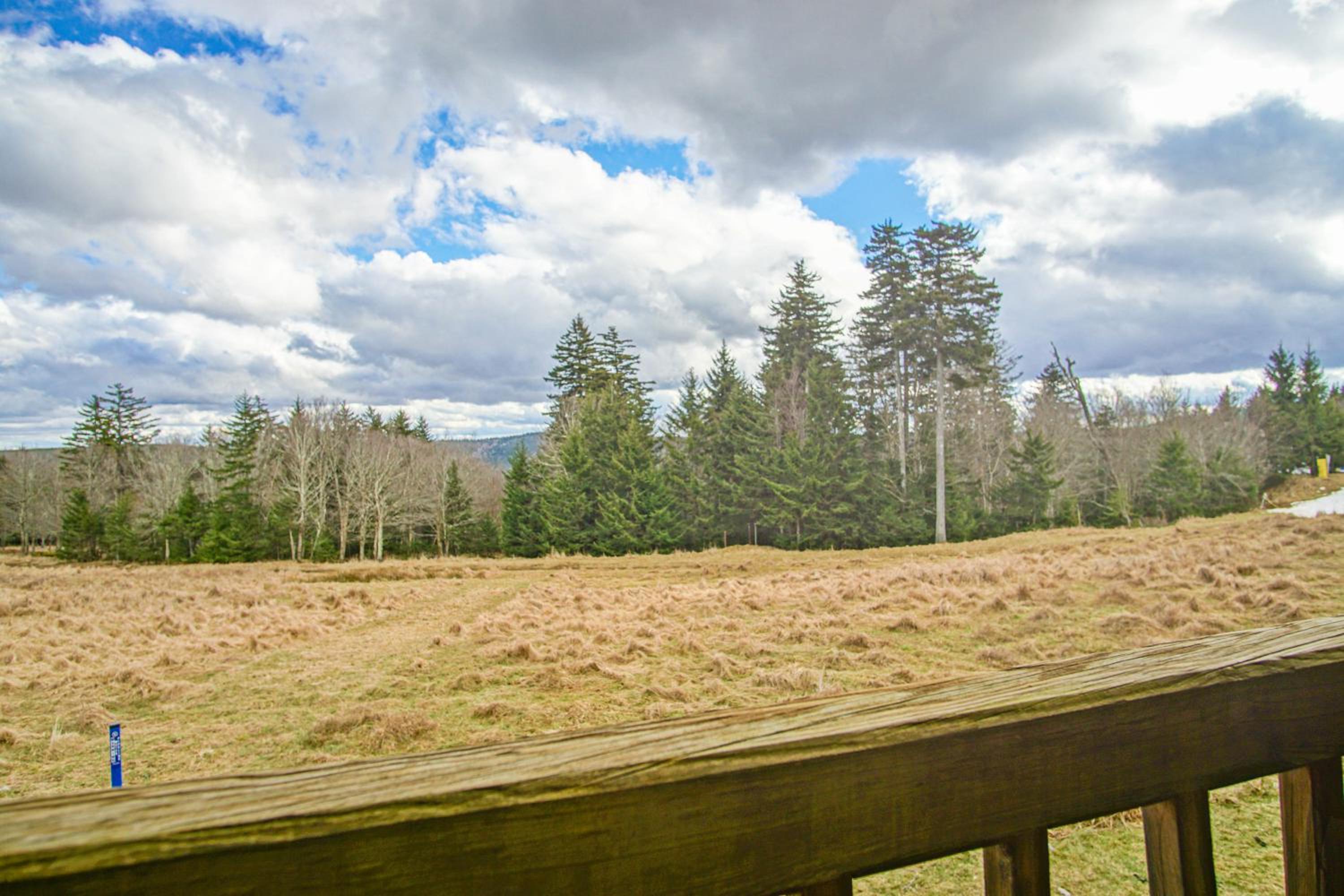Powderidge 24 Spectacular Slope Side 2 Br Condo