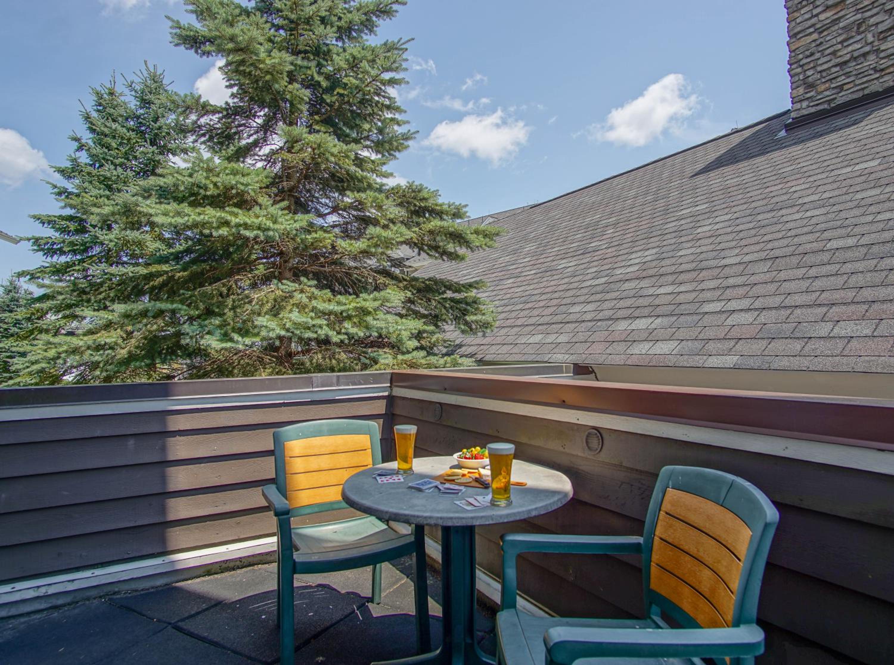 Allegheny Springs 201 : 2 Bedroom, 2 Full Bath: Slope Side; Gas Fireplace