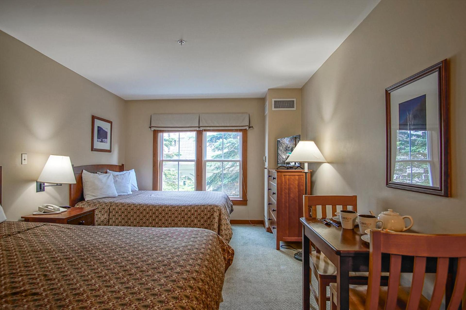 Allegheny Springs 201 : 2 Bedroom, 2 Full Bath: Slope Side; Gas Fireplace
