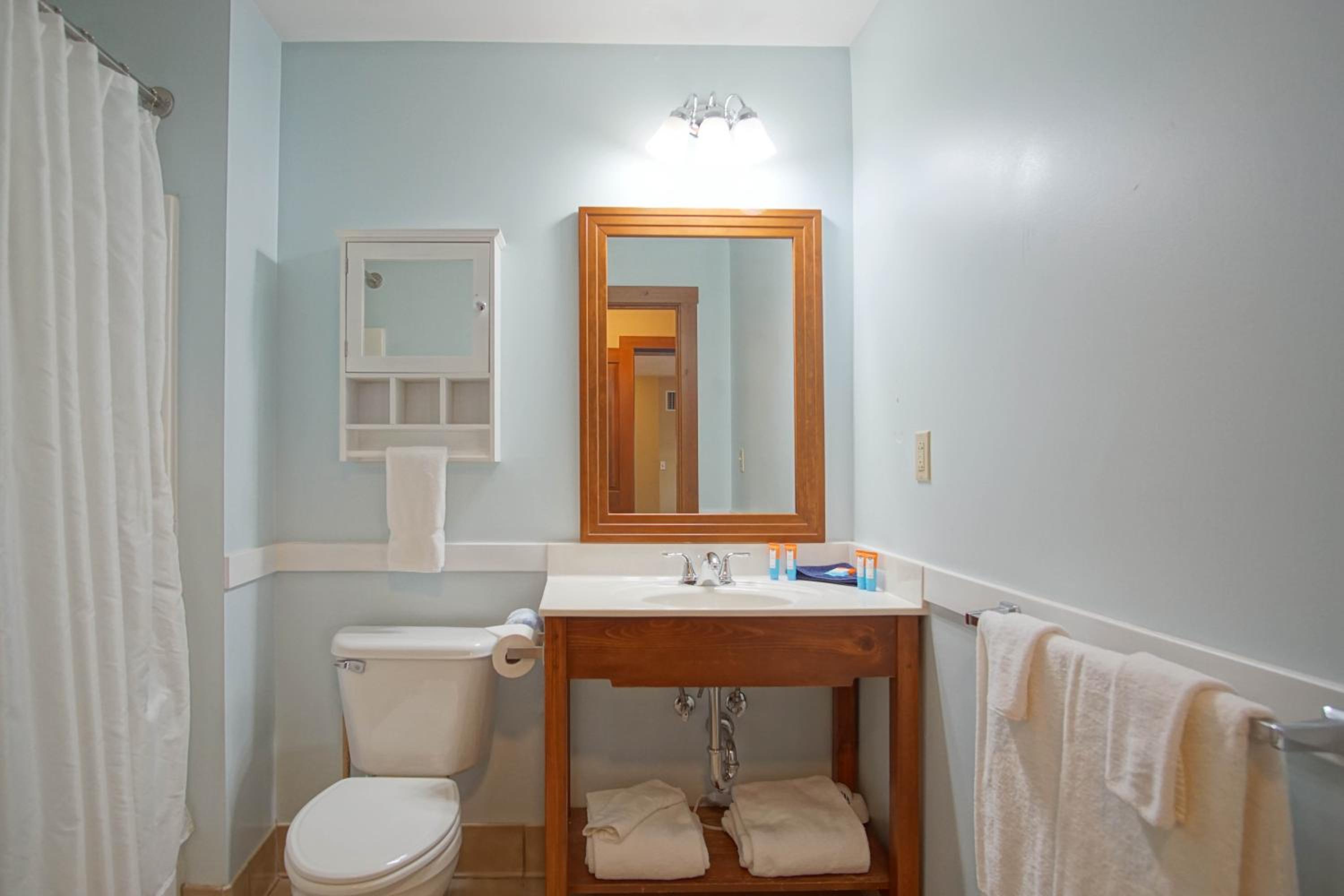 Allegheny Springs 201 : 2 Bedroom, 2 Full Bath: Slope Side; Gas Fireplace