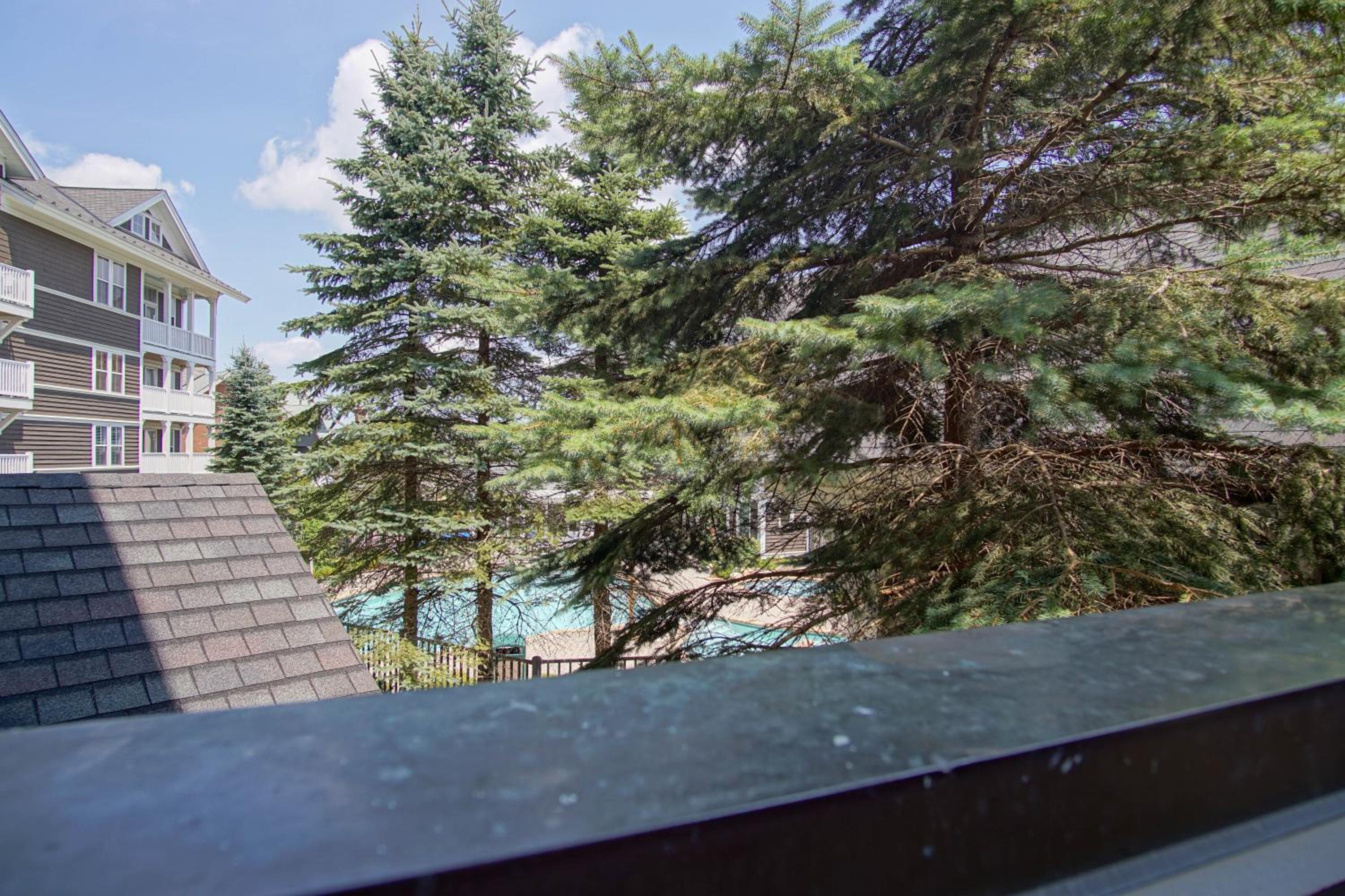 Allegheny Springs 201 : 2 Bedroom, 2 Full Bath: Slope Side; Gas Fireplace