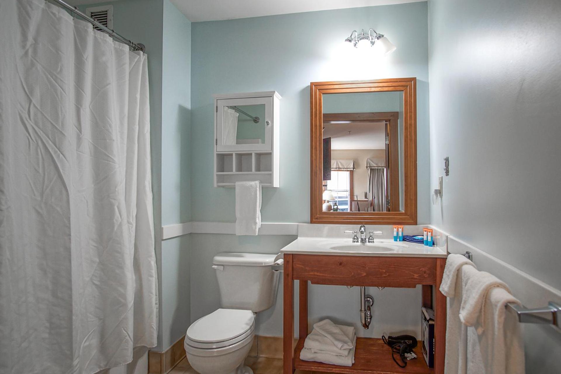 Allegheny Springs 201 : 2 Bedroom, 2 Full Bath: Slope Side; Gas Fireplace