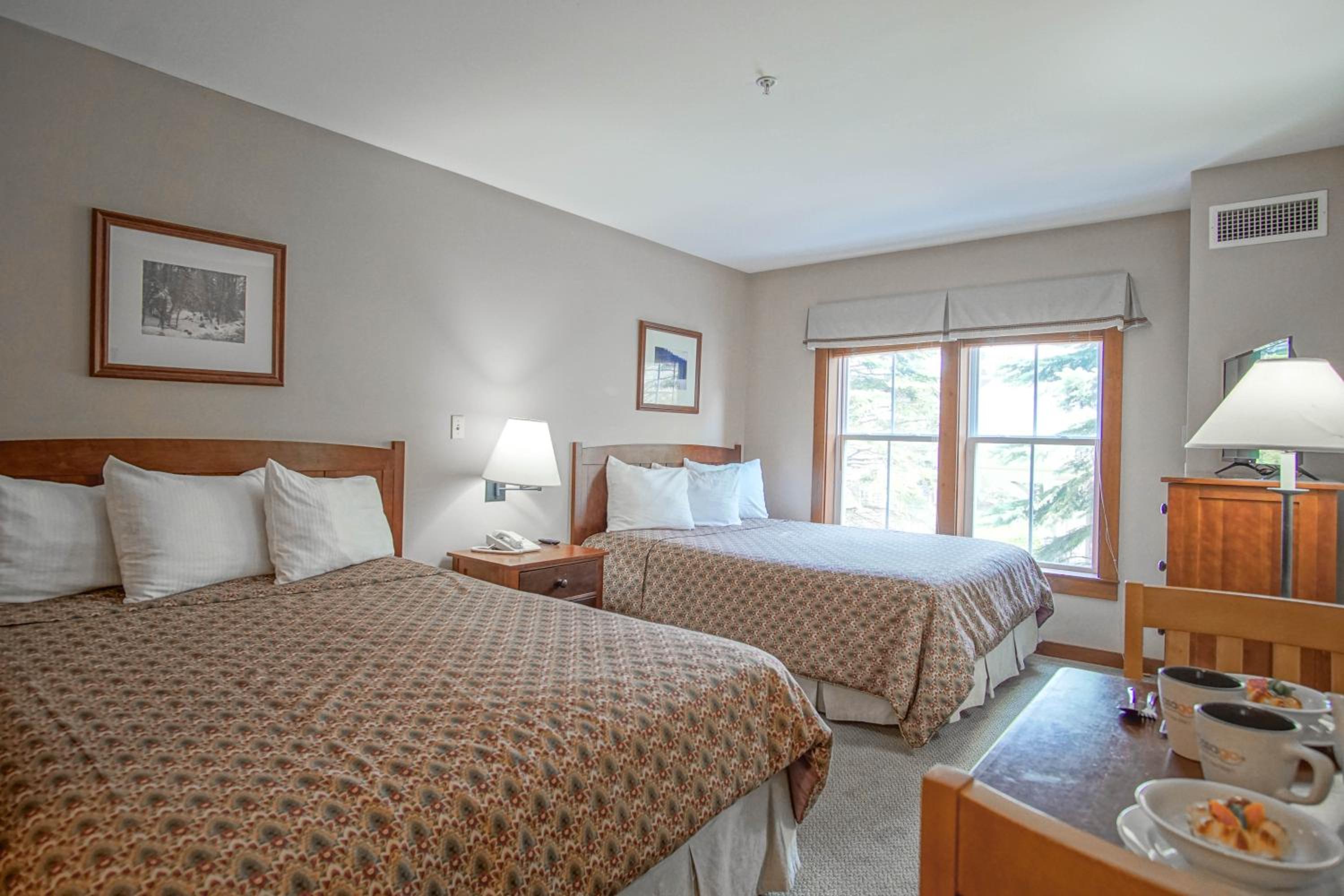 Allegheny Springs 201 : 2 Bedroom, 2 Full Bath: Slope Side; Gas Fireplace