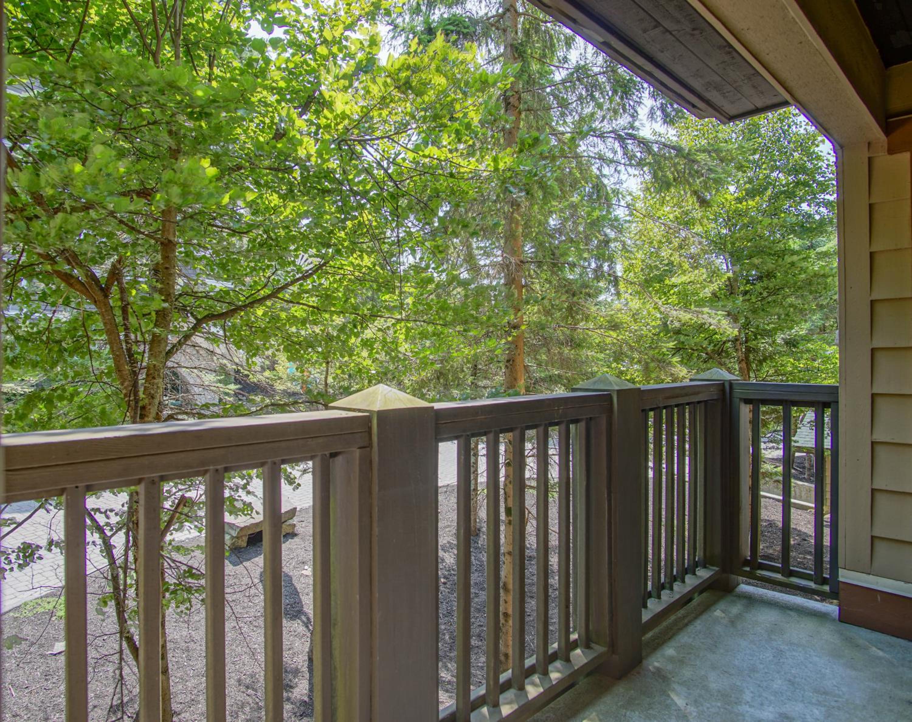 Rimfire 259 : Walking distance to village,slopes, 1 Br Sleeps 4