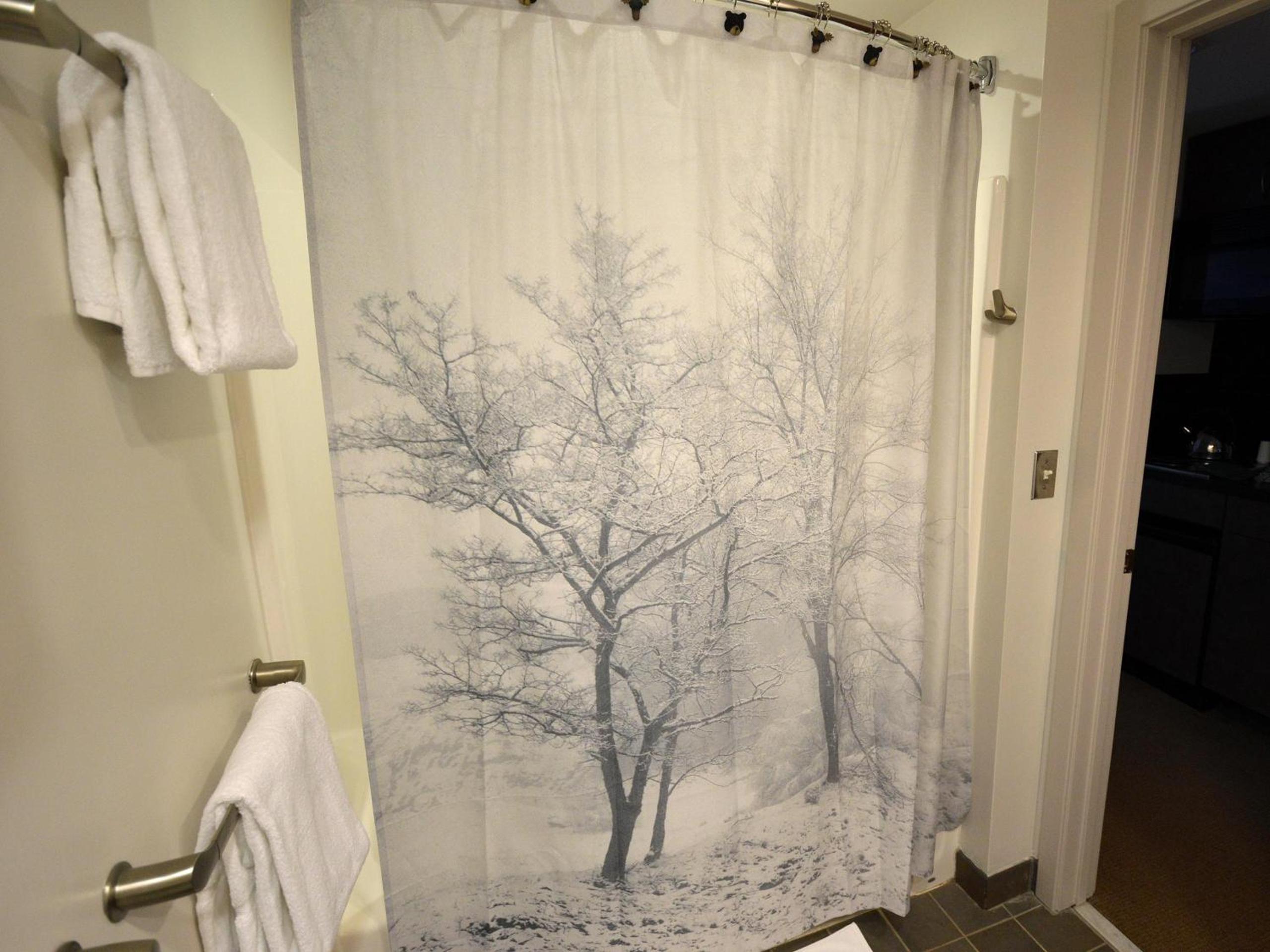 Expedition Station #120: Snowshoe's Premier Slopeside Junior Studio Accommodations