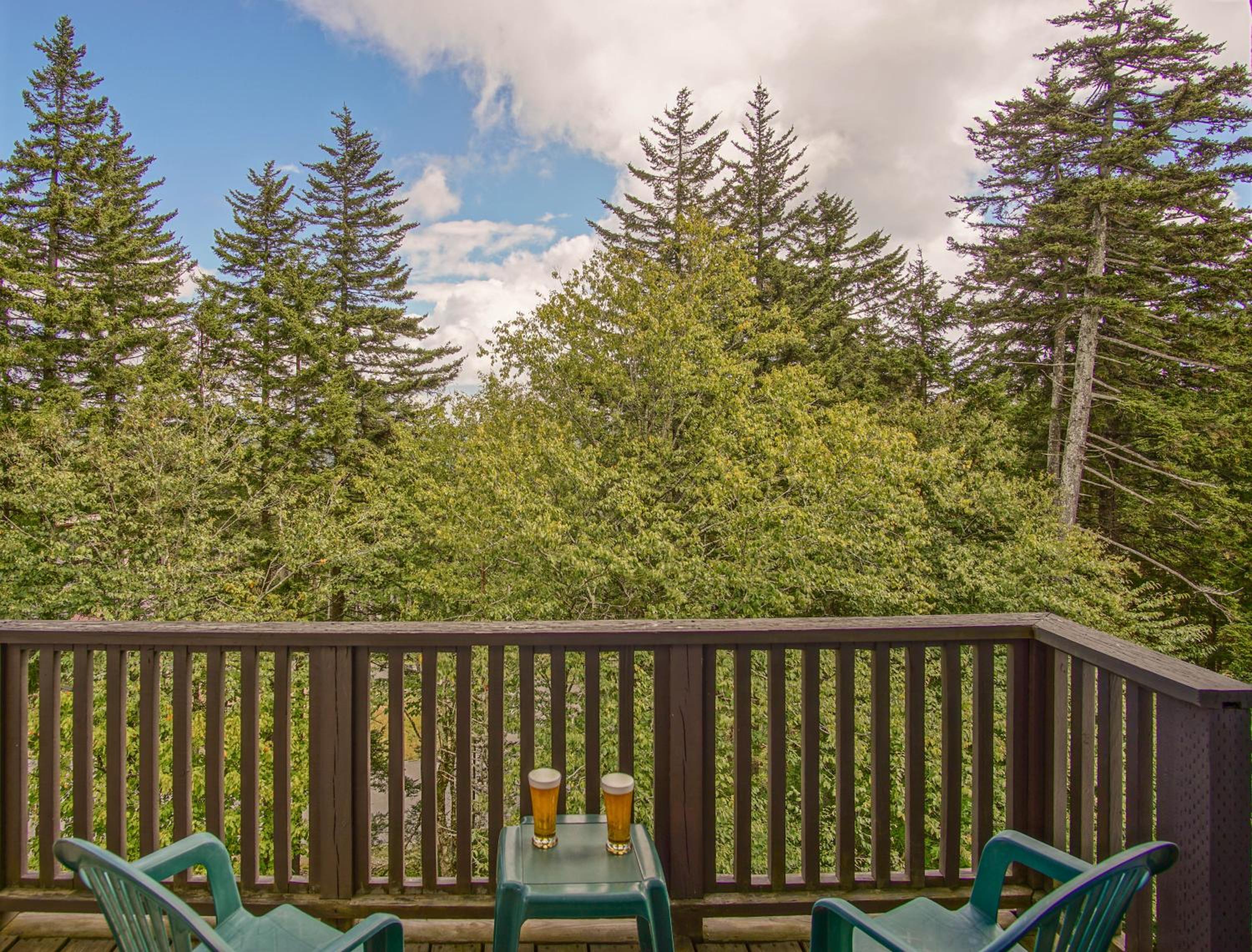 Whistlepunk #24: 4 Bedroom, 3 Bath: Slope Side, Wood Fireplace