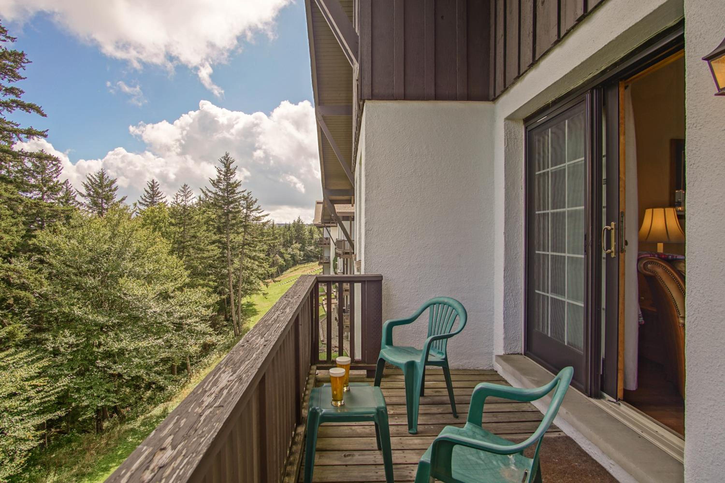 Whistlepunk #24: 4 Bedroom, 3 Bath: Slope Side, Wood Fireplace